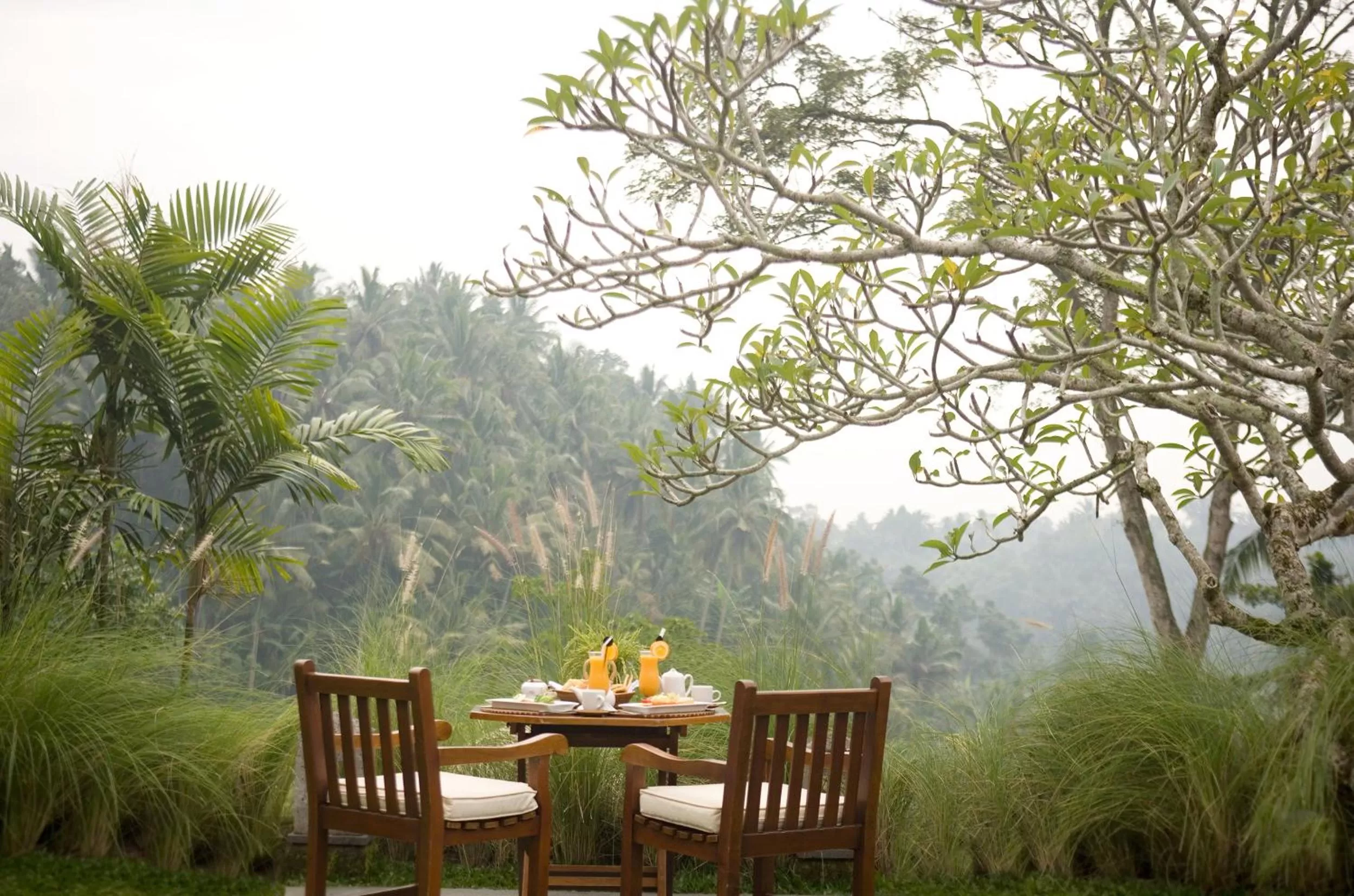View (from property/room) in Kamandalu Ubud