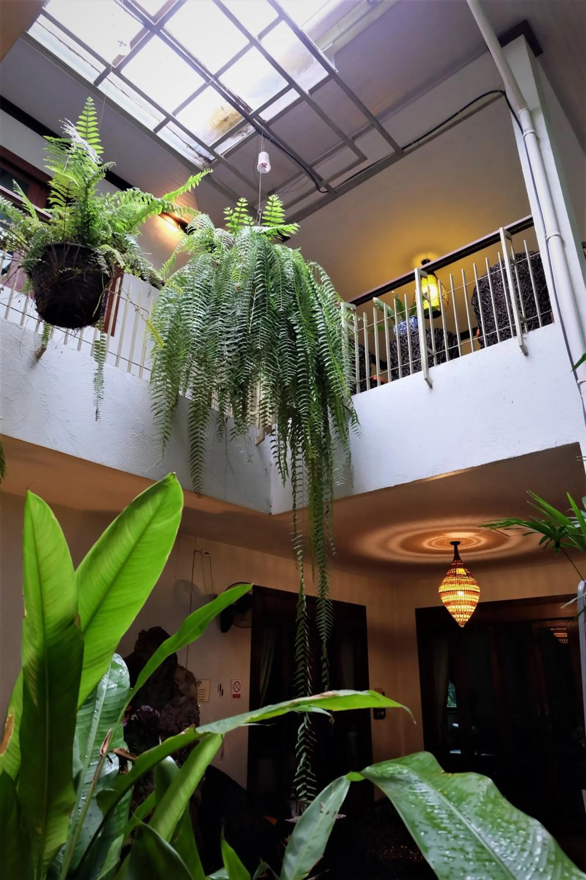 Balcony/Terrace in The Twenty Lodge