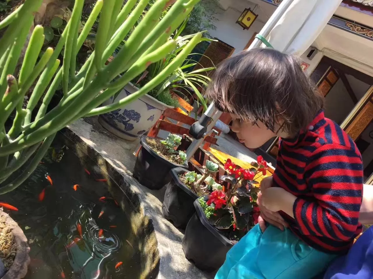 Children in The Lily Pad Inn