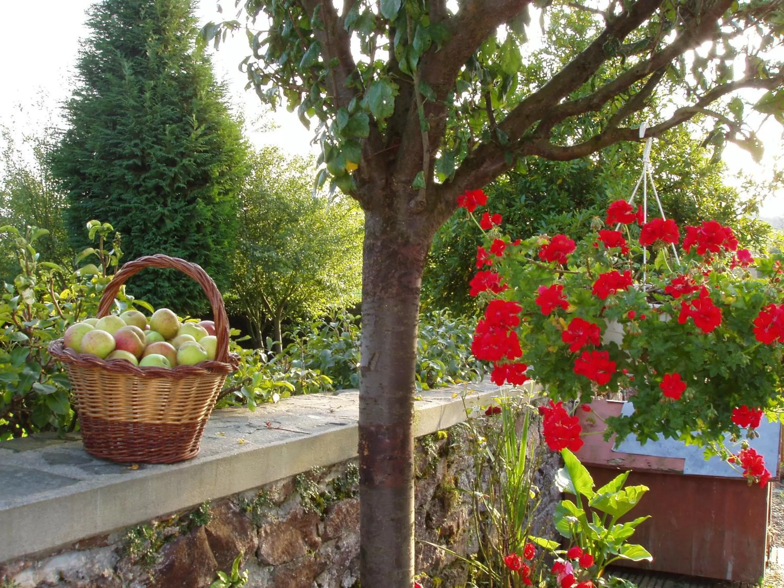 Facade/entrance in La Parisiere