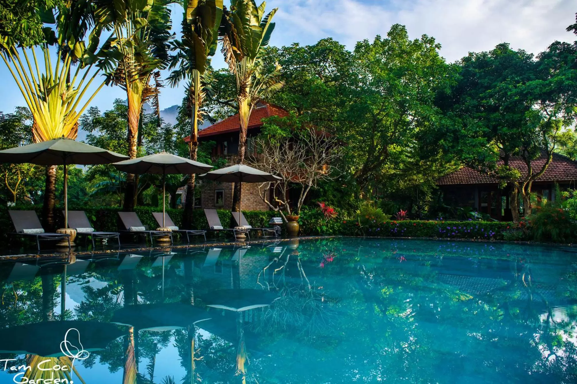 Swimming pool in Tam Coc Garden Resort