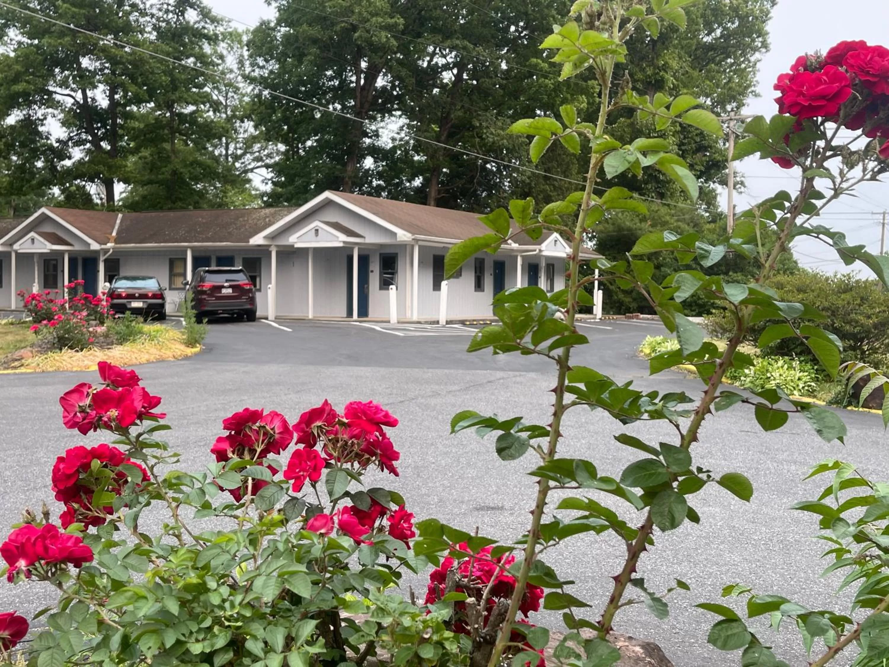 Property building in Pennswoods Inn