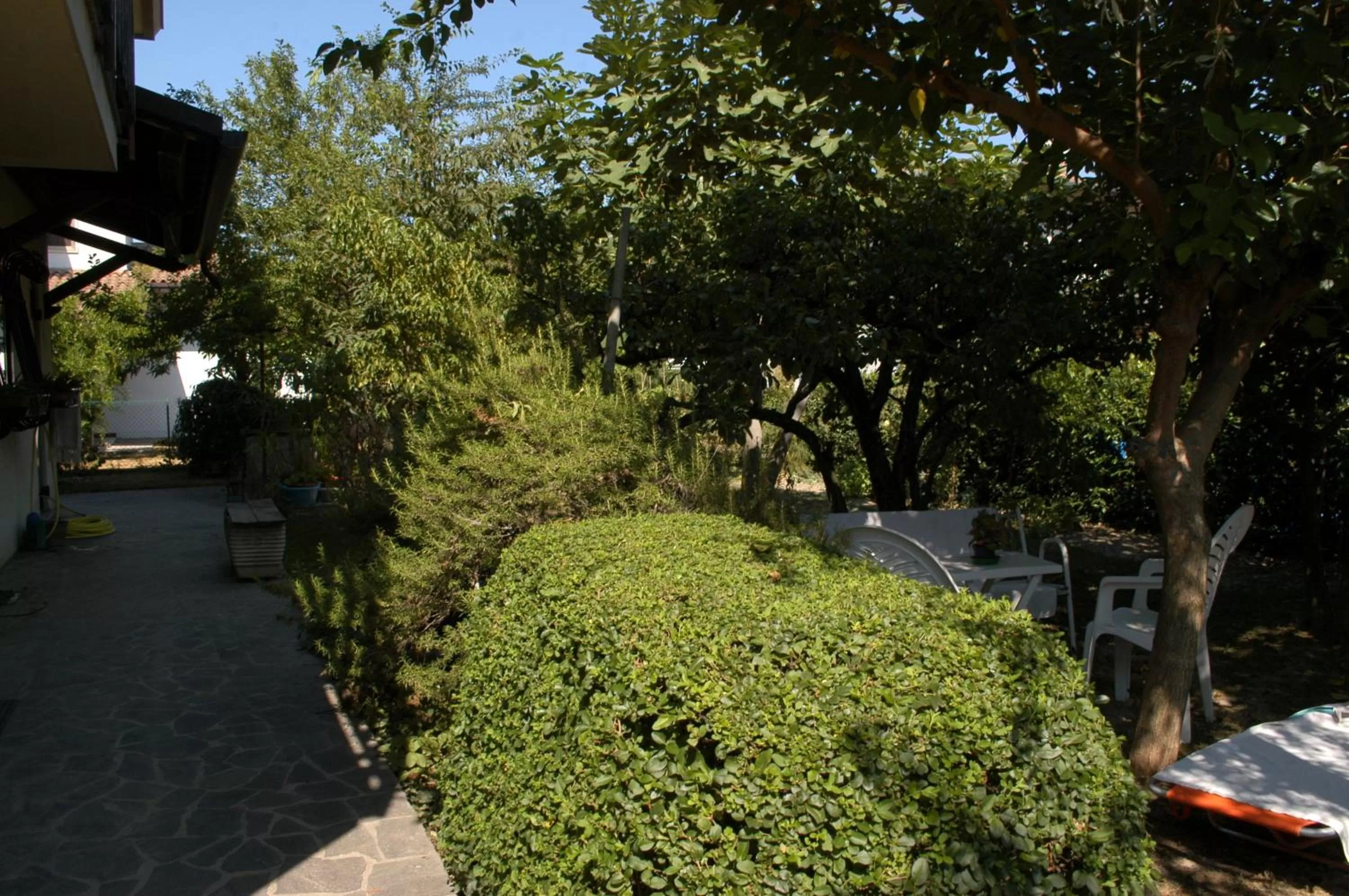 Garden in Casa Irene