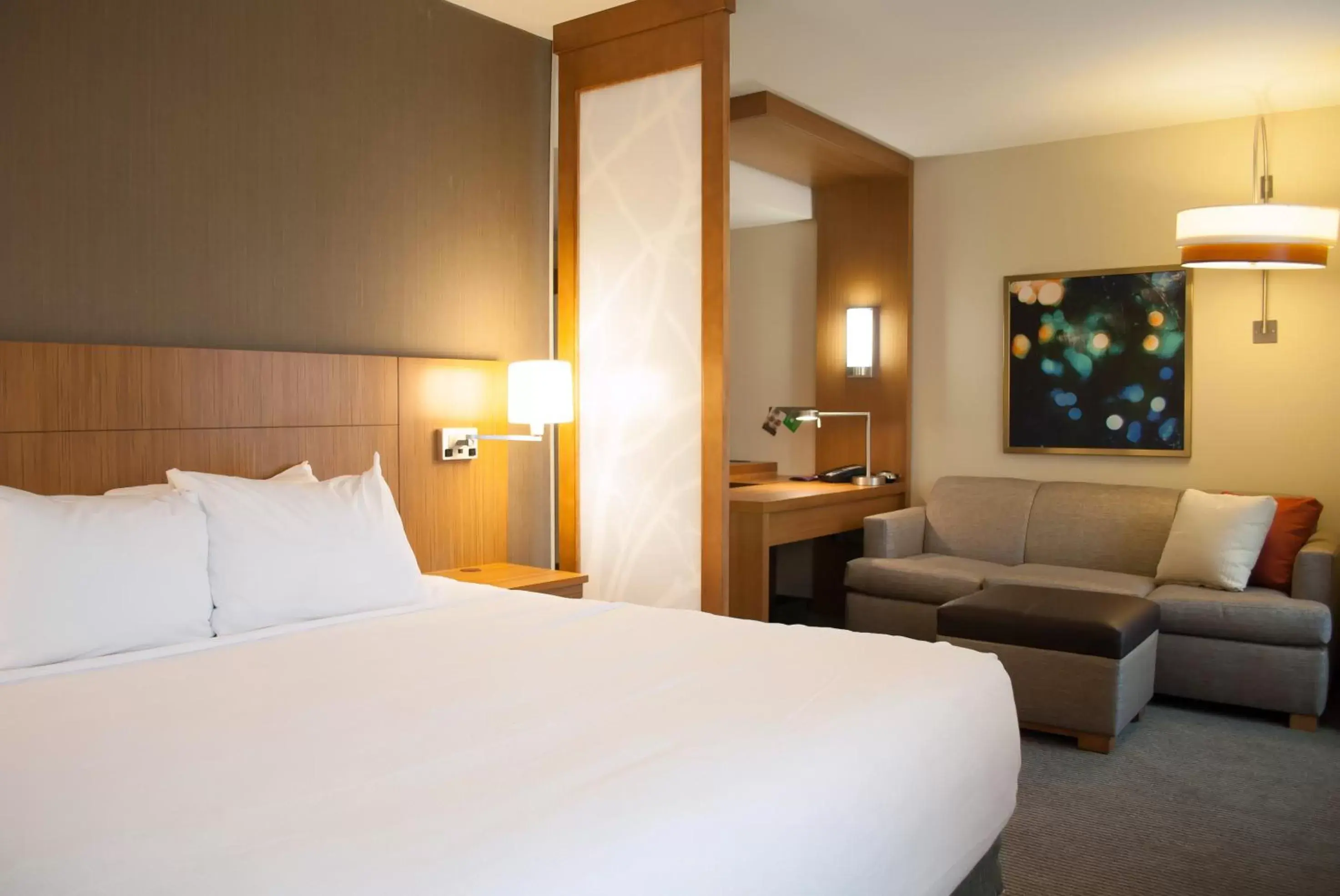 King Room with Sofa Bed - High Floor in Hyatt Place Blacksburg/University King Room with Sofa Bed - High Floor in Hyatt Place Blacksburg/University