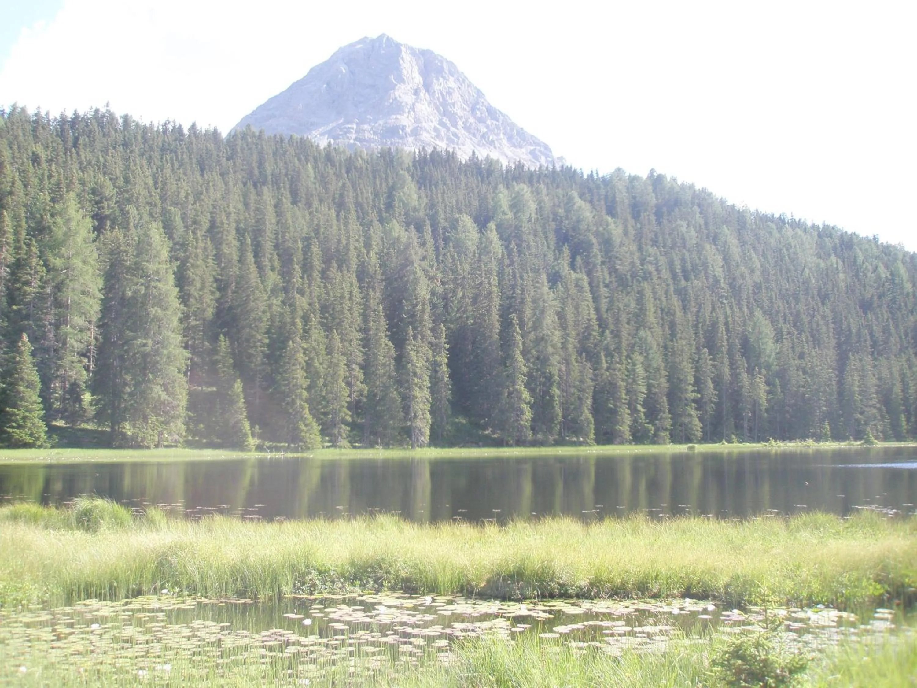 Natural landscape in Hotel Erika