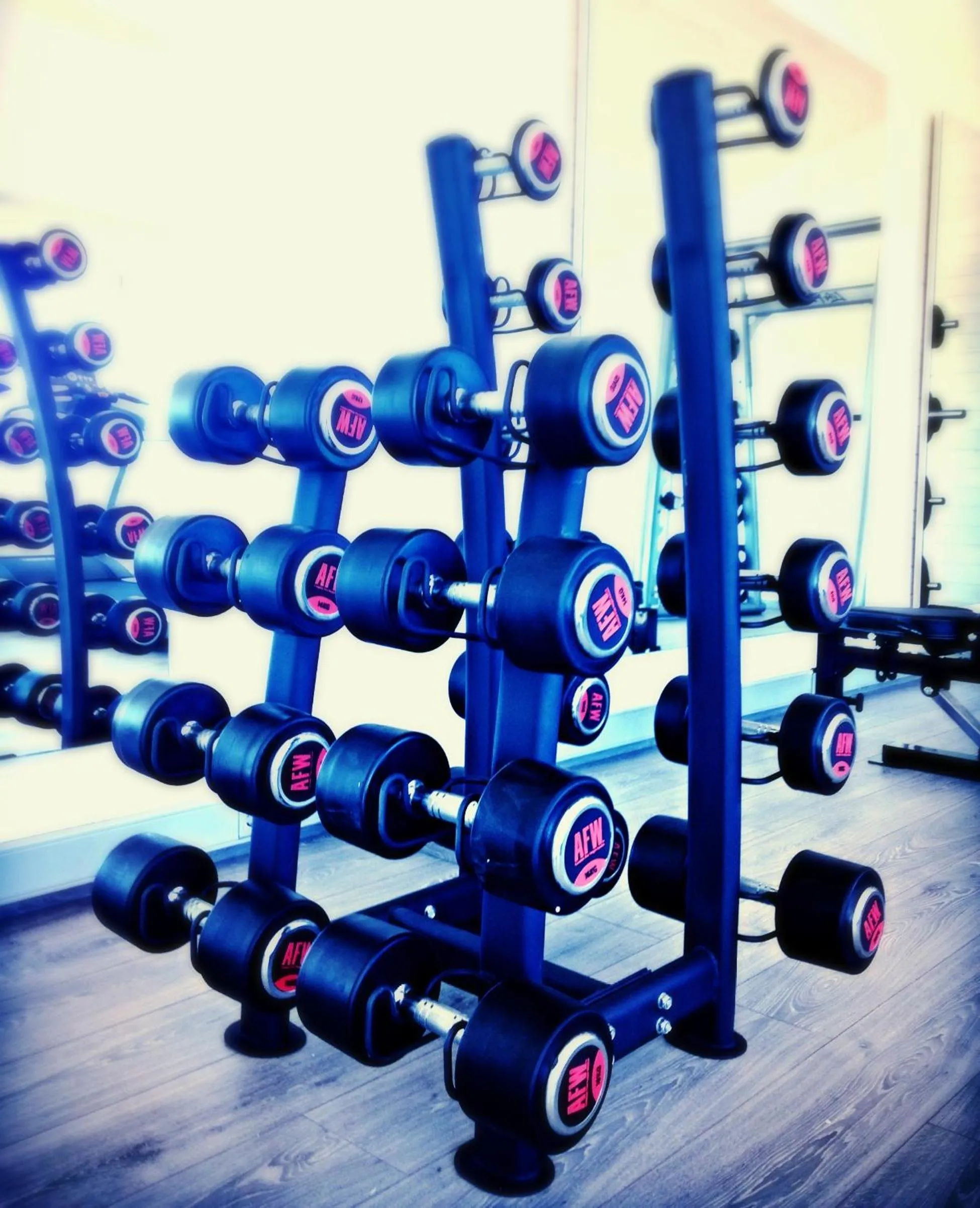 Fitness centre/facilities in Hotel Boutique Puig Francó