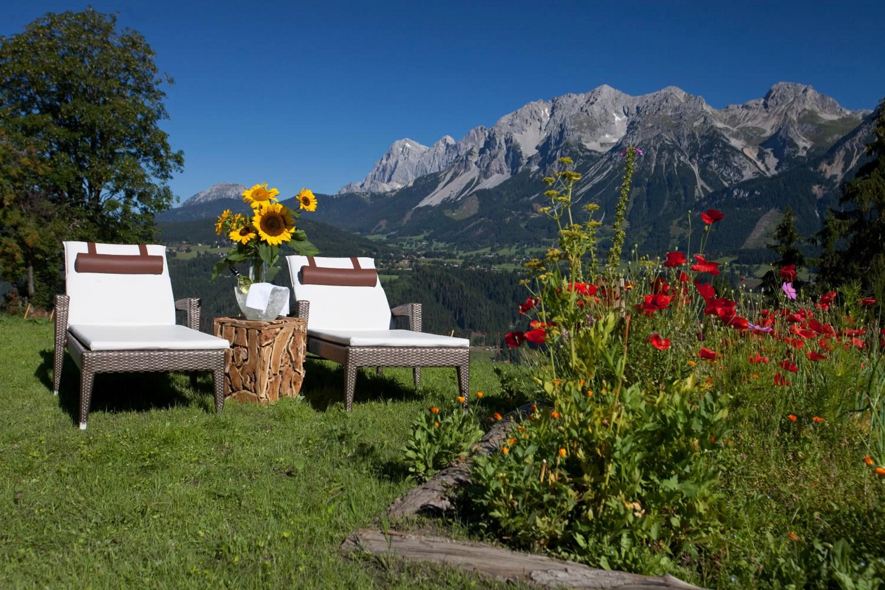 Garden in Hotel Schröckerhof