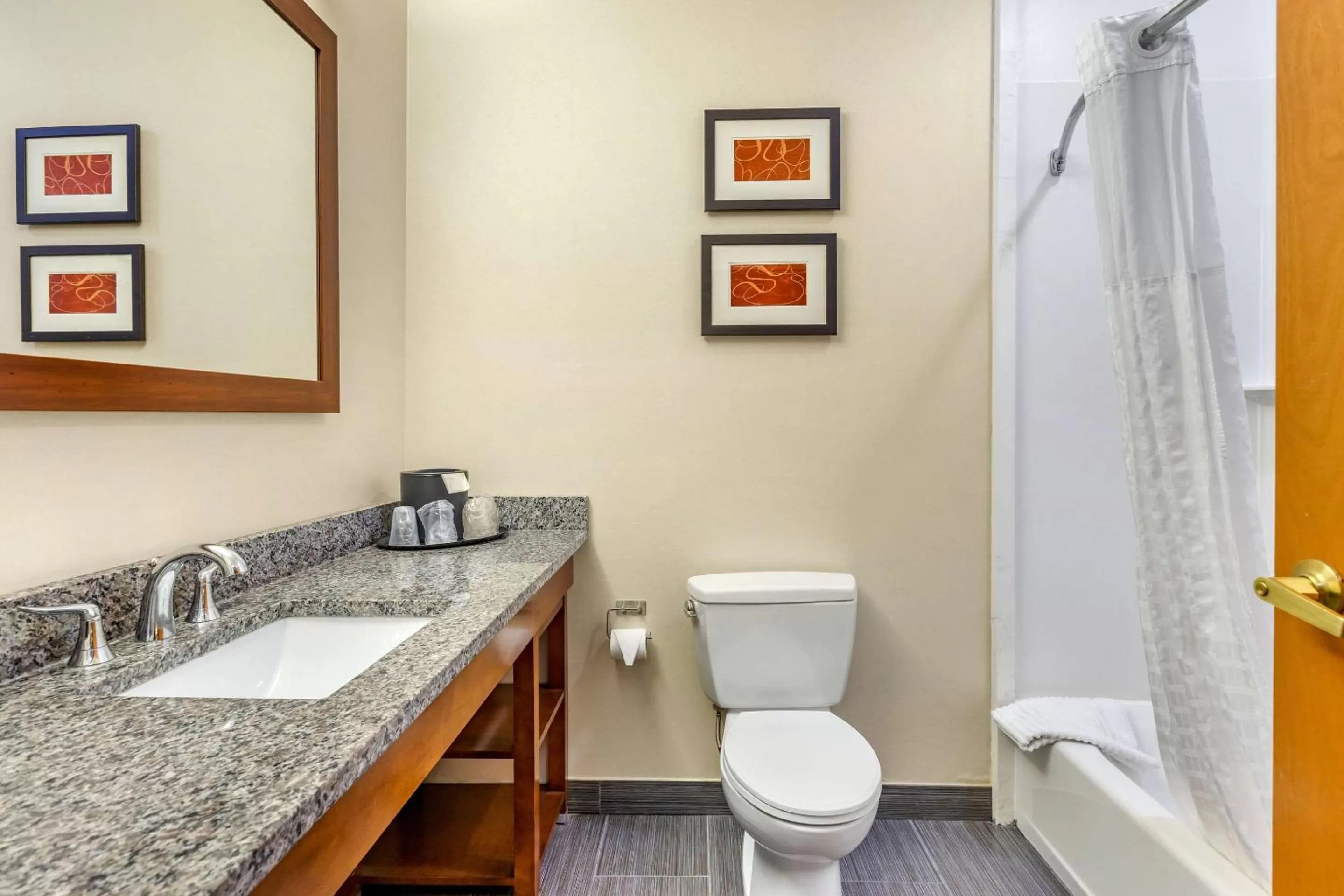 Photo of the whole room in Comfort Suites Southgate-Detroit