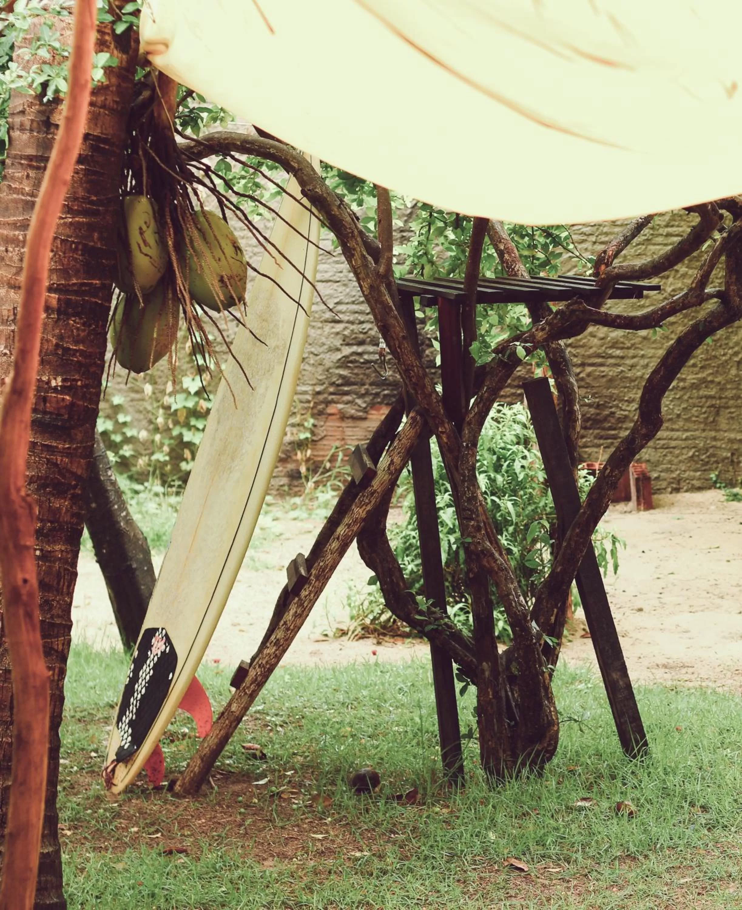 Garden in B&B Pedra do Meio