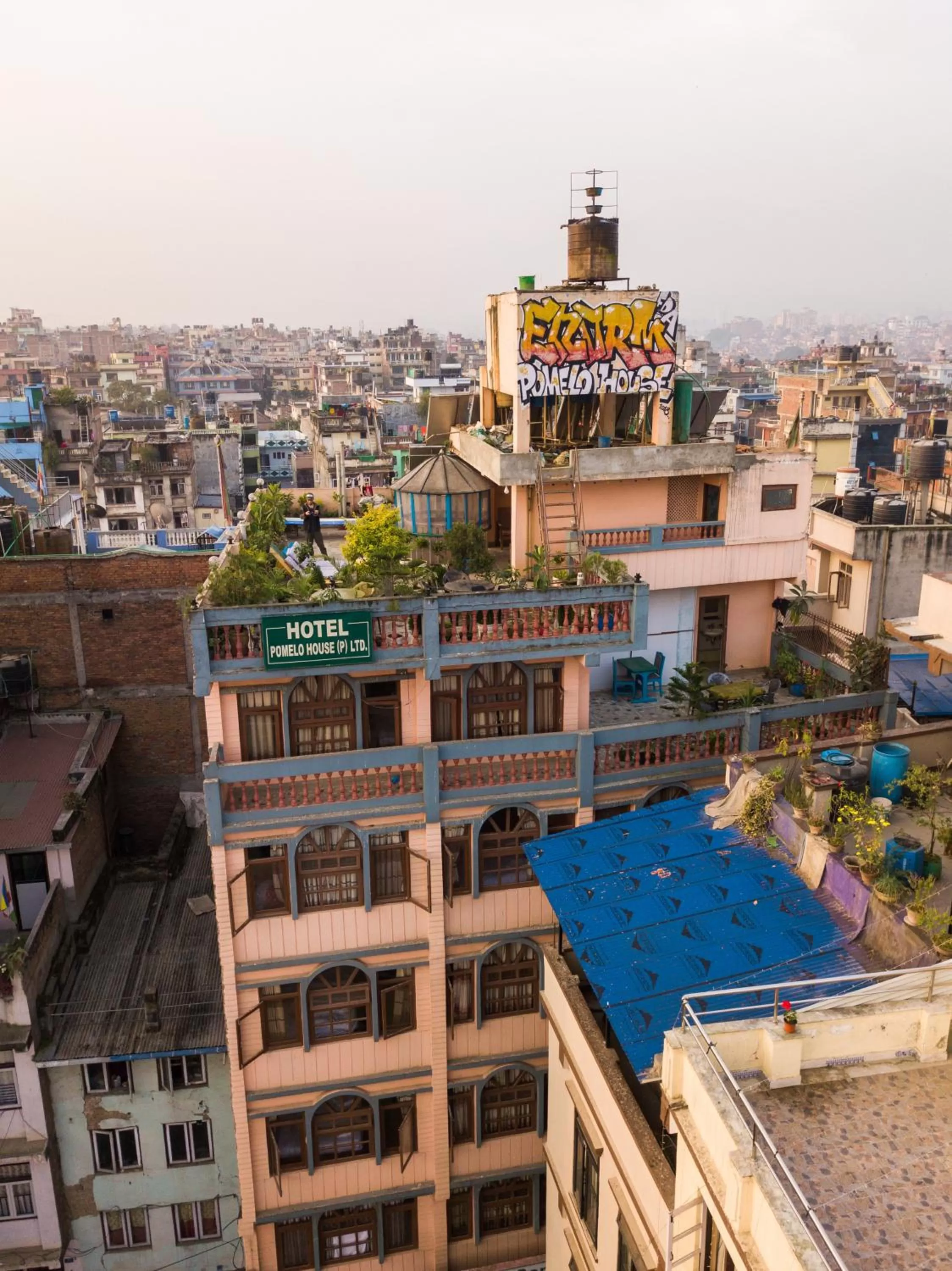 Property building in Hotel Pomelo House