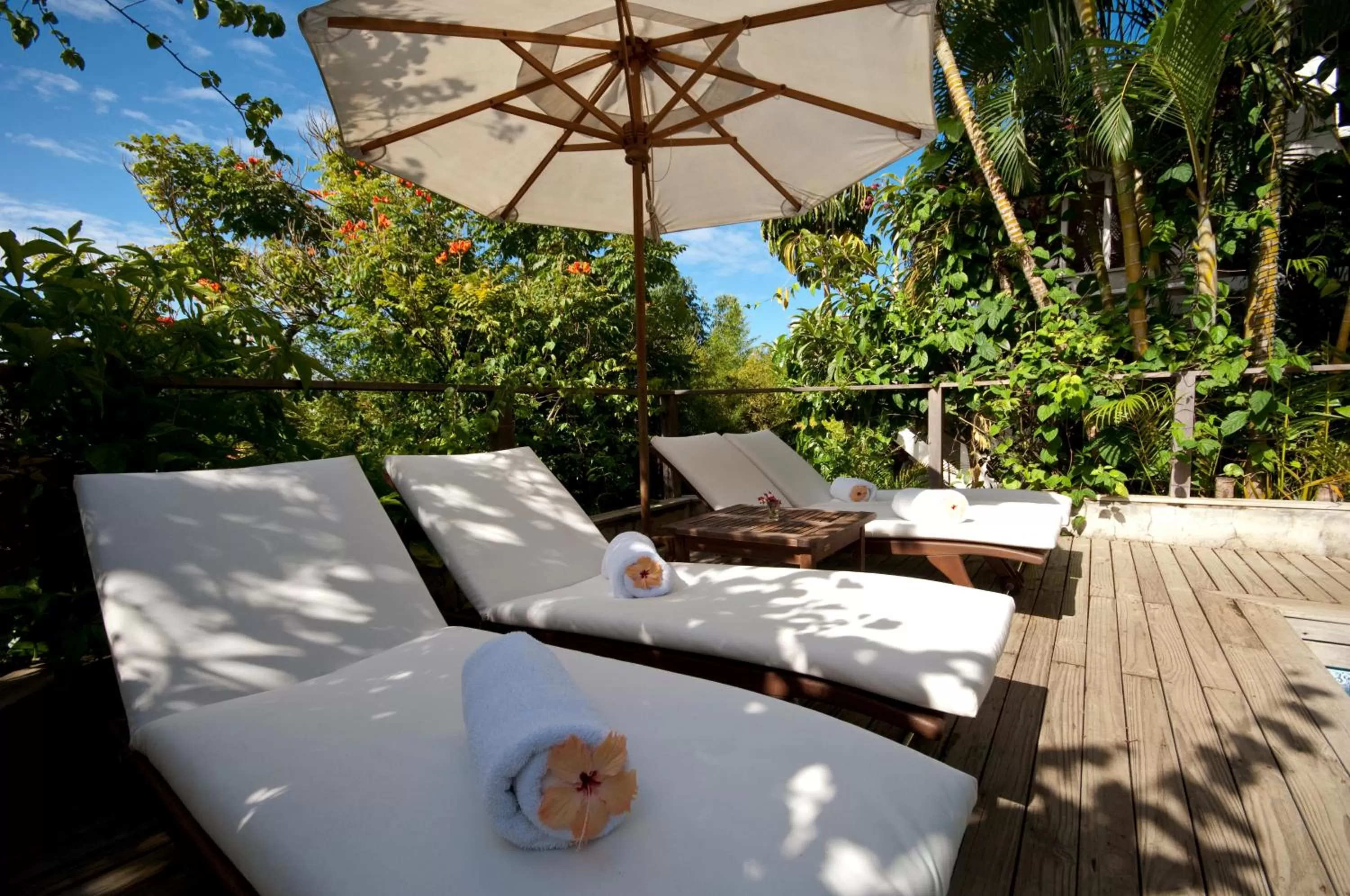 Swimming pool, Restaurant/Places to Eat in Felissimo Exclusive Hotel