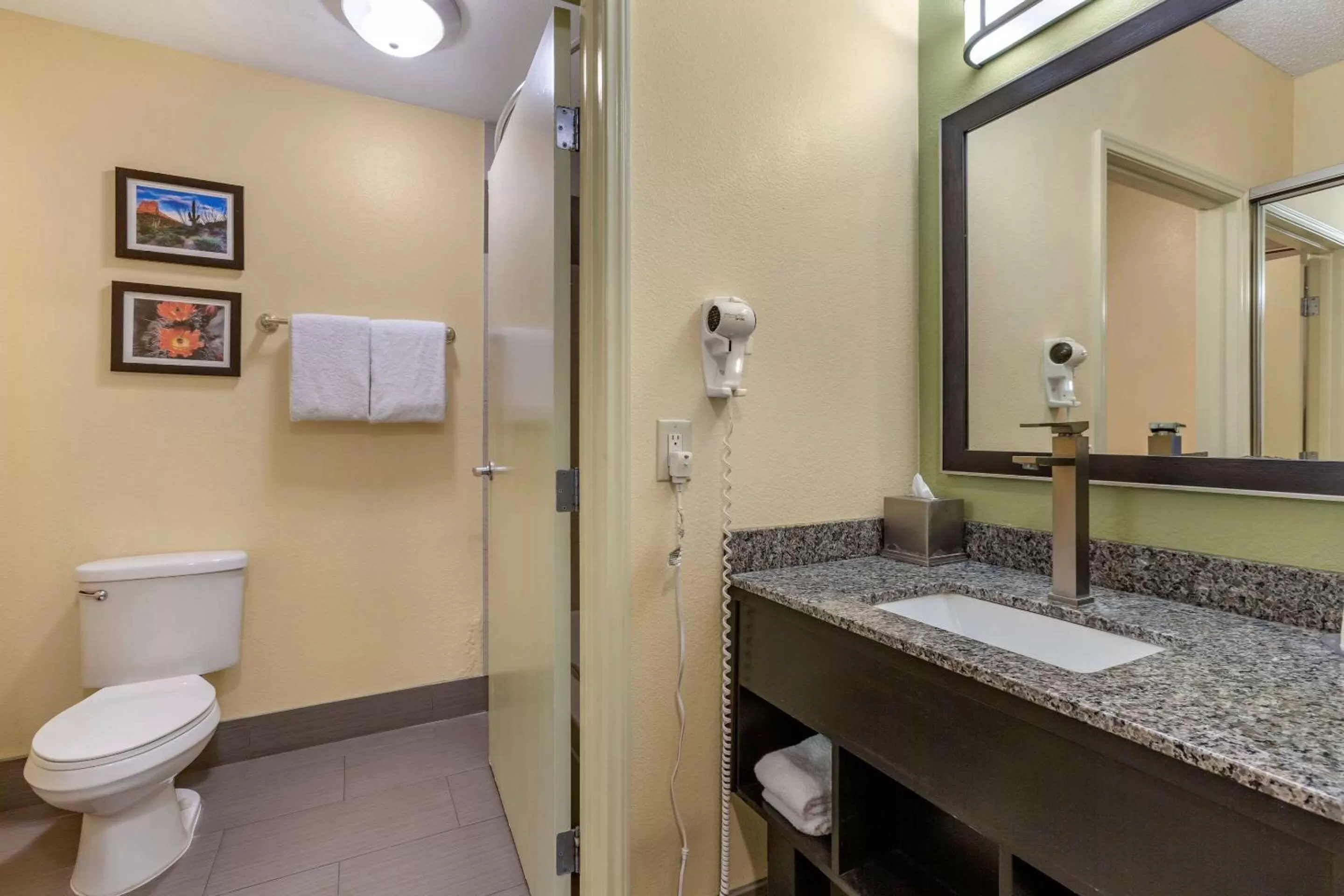 King Room with Roll-In Shower - Accessible/Non-Smoking in Comfort Inn Chandler - Phoenix South I-10