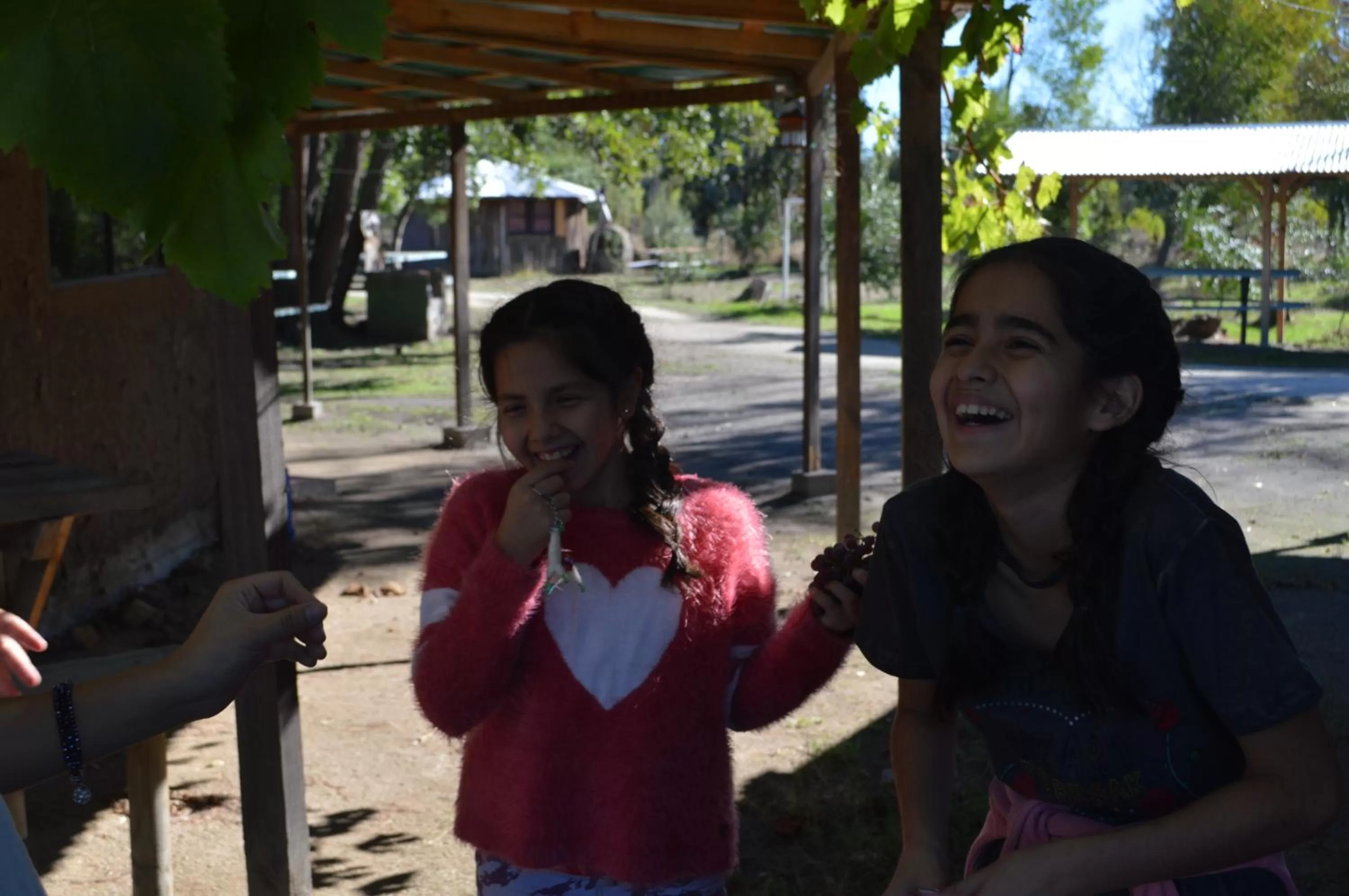 Coyunche Cabañas y Camping Laja & San Rosendo