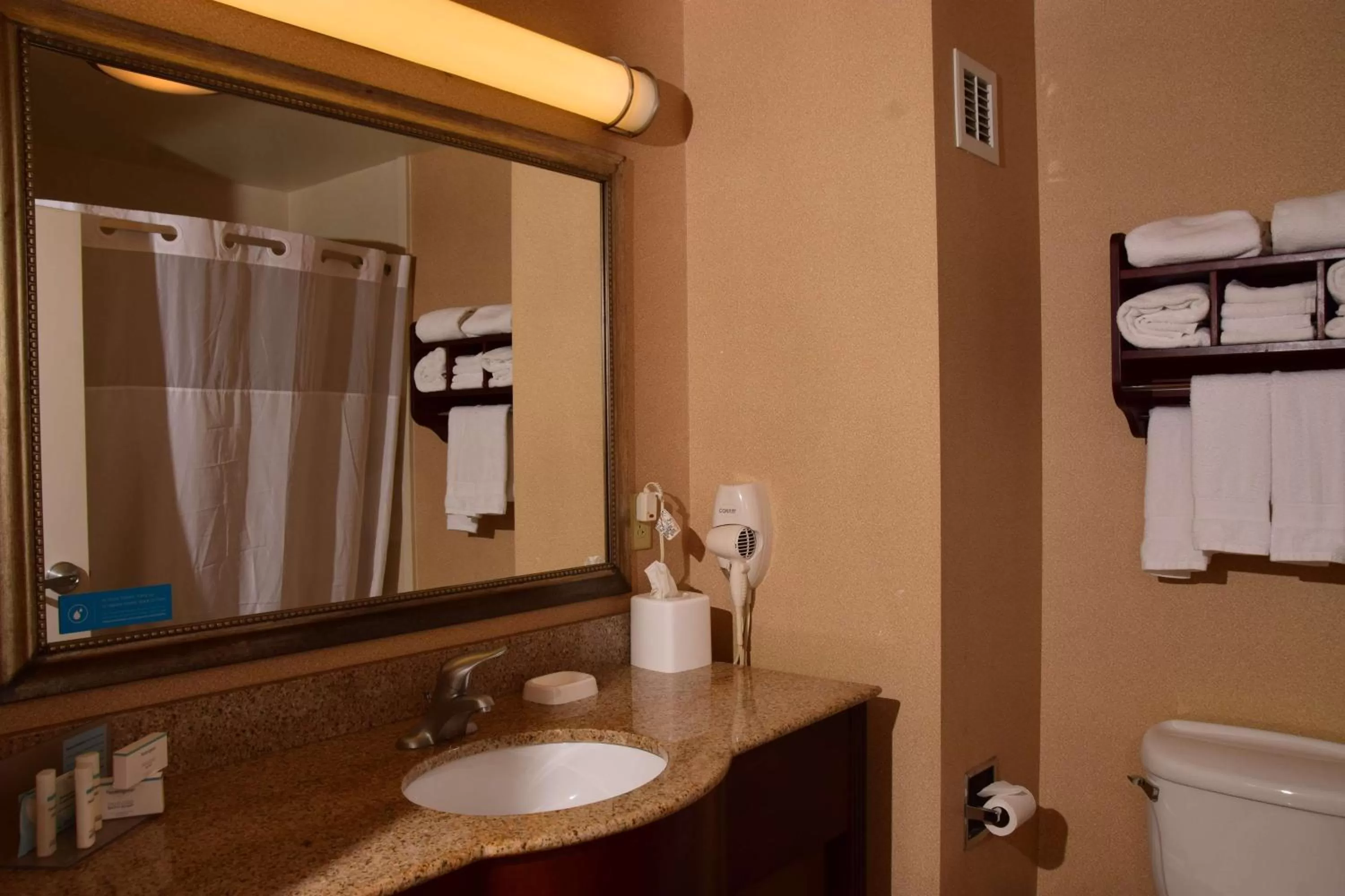 Bathroom in Hampton Inn Indiana