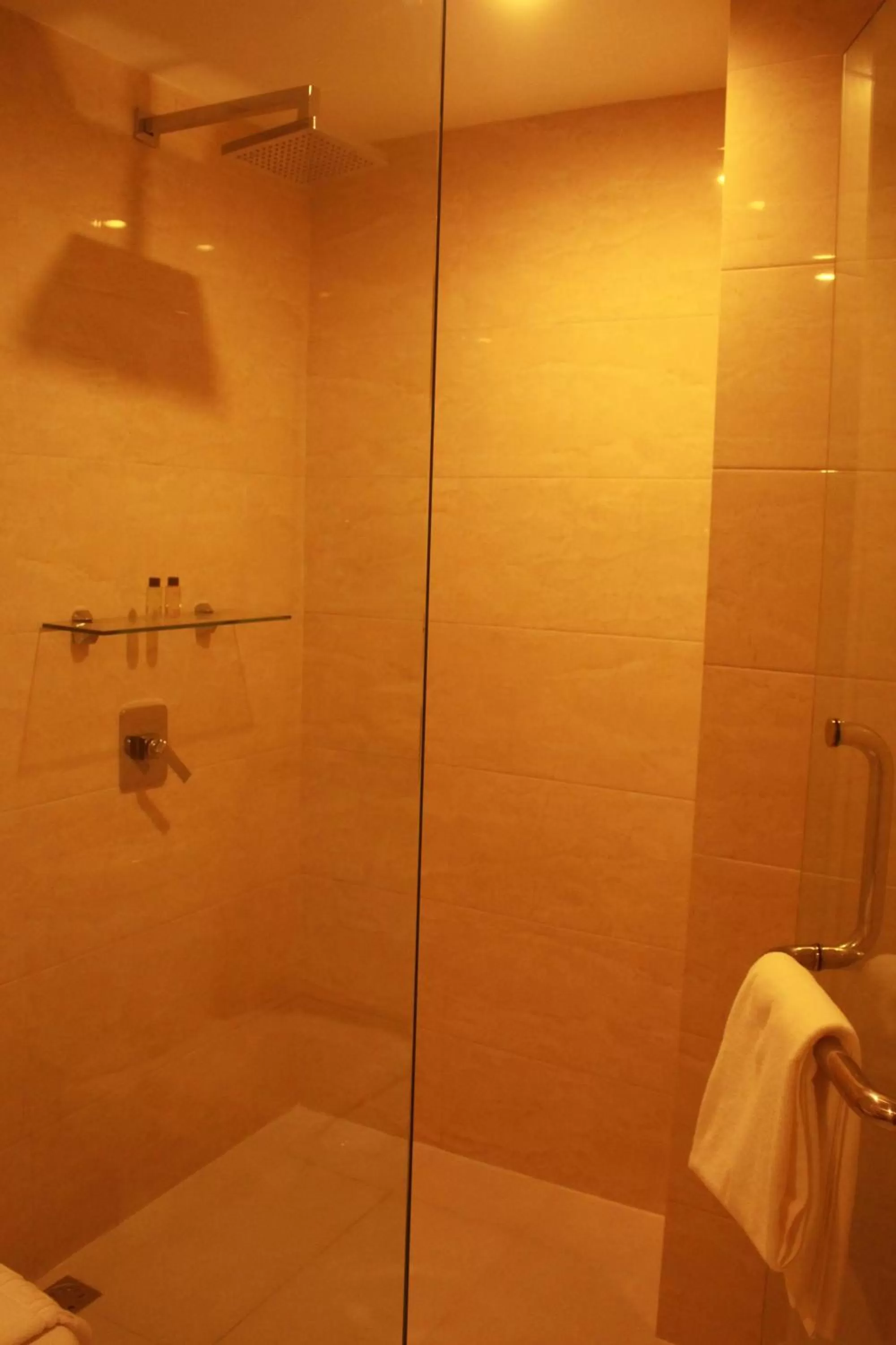 Bathroom in Skyland Garden Hotel and Resort