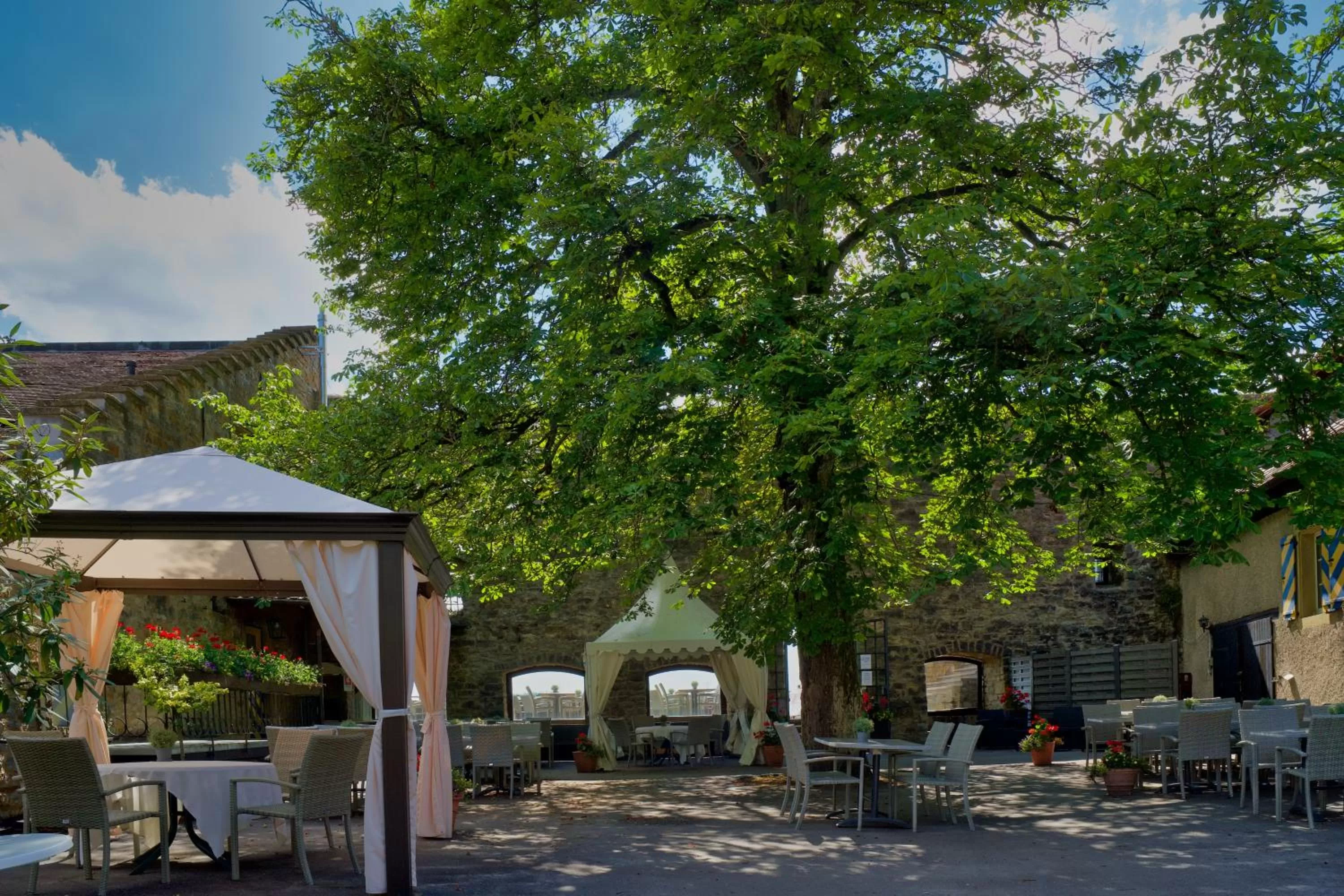 Restaurant/places to eat in Hotel-Restaurant Burg Hornberg