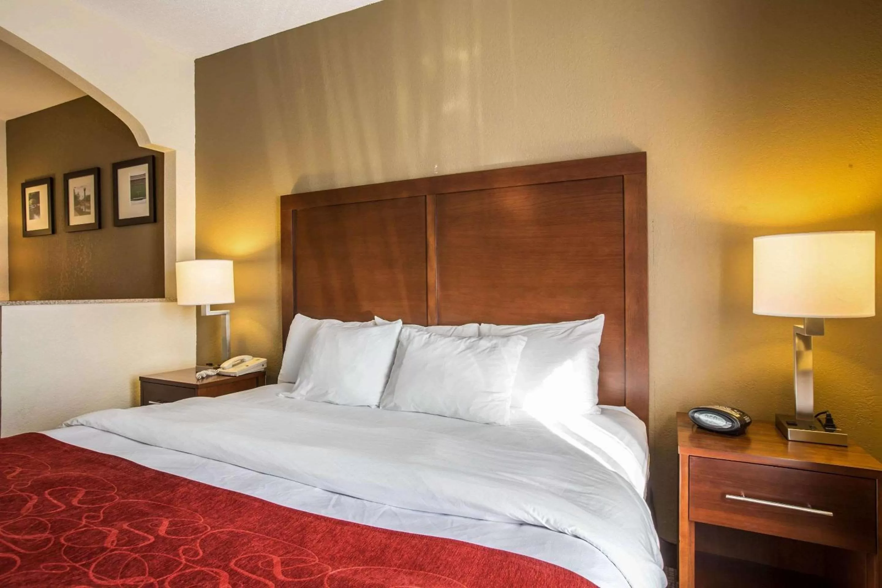 Photo of the whole room, Bed in Quality Suites Morristown West