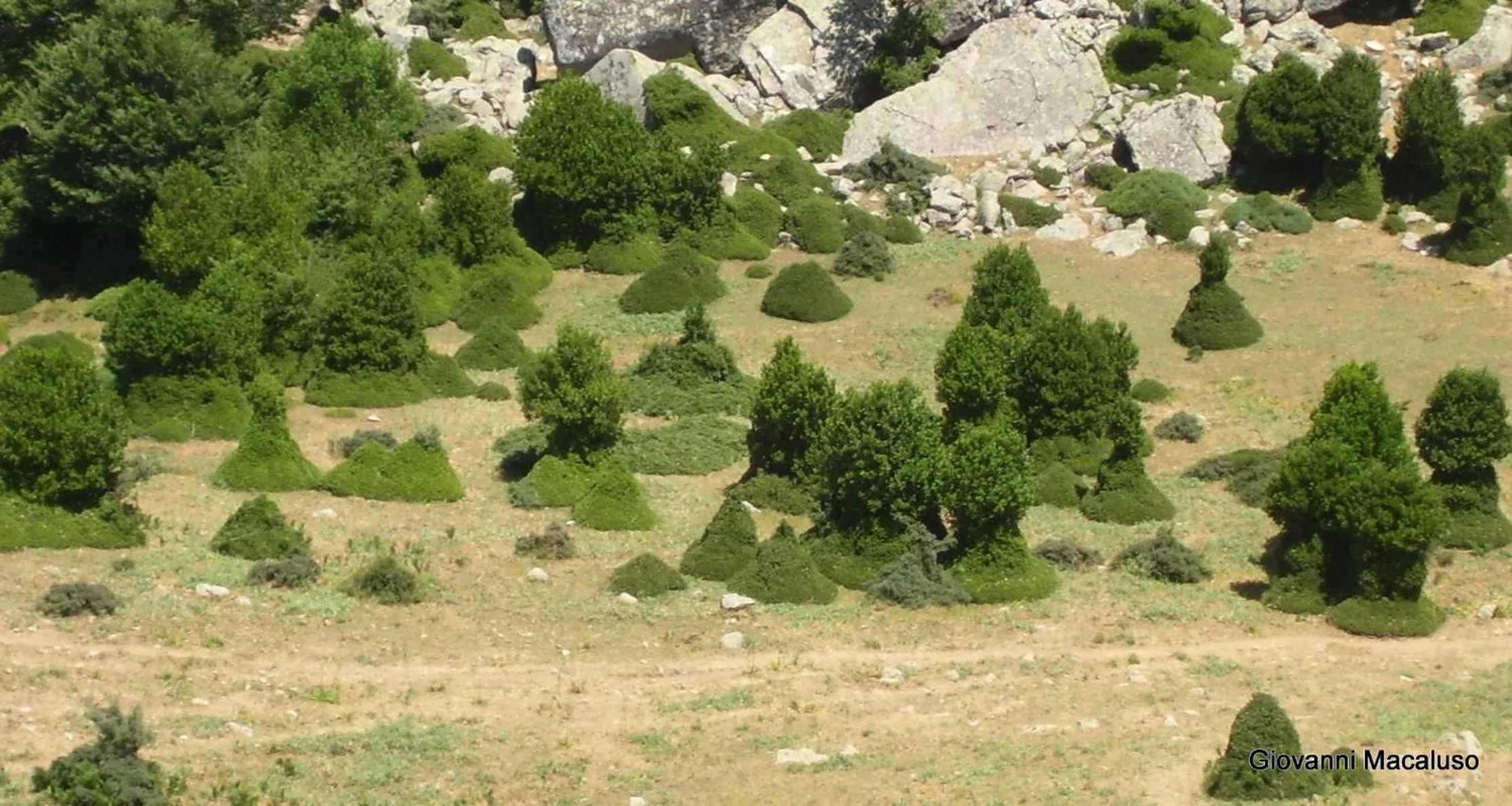 Hiking in Hotel Residenza Petra