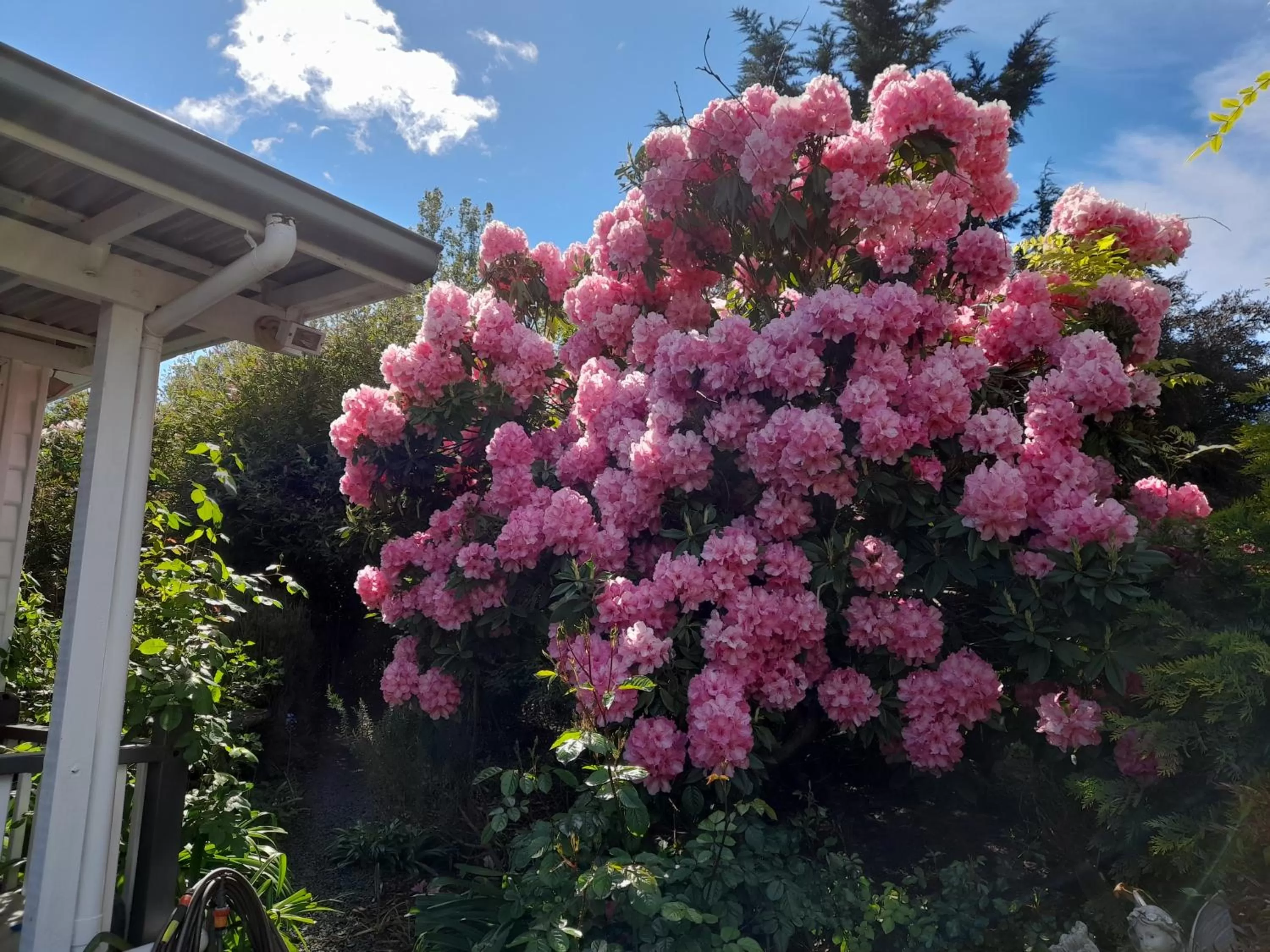 Hillside Bed and Breakfast