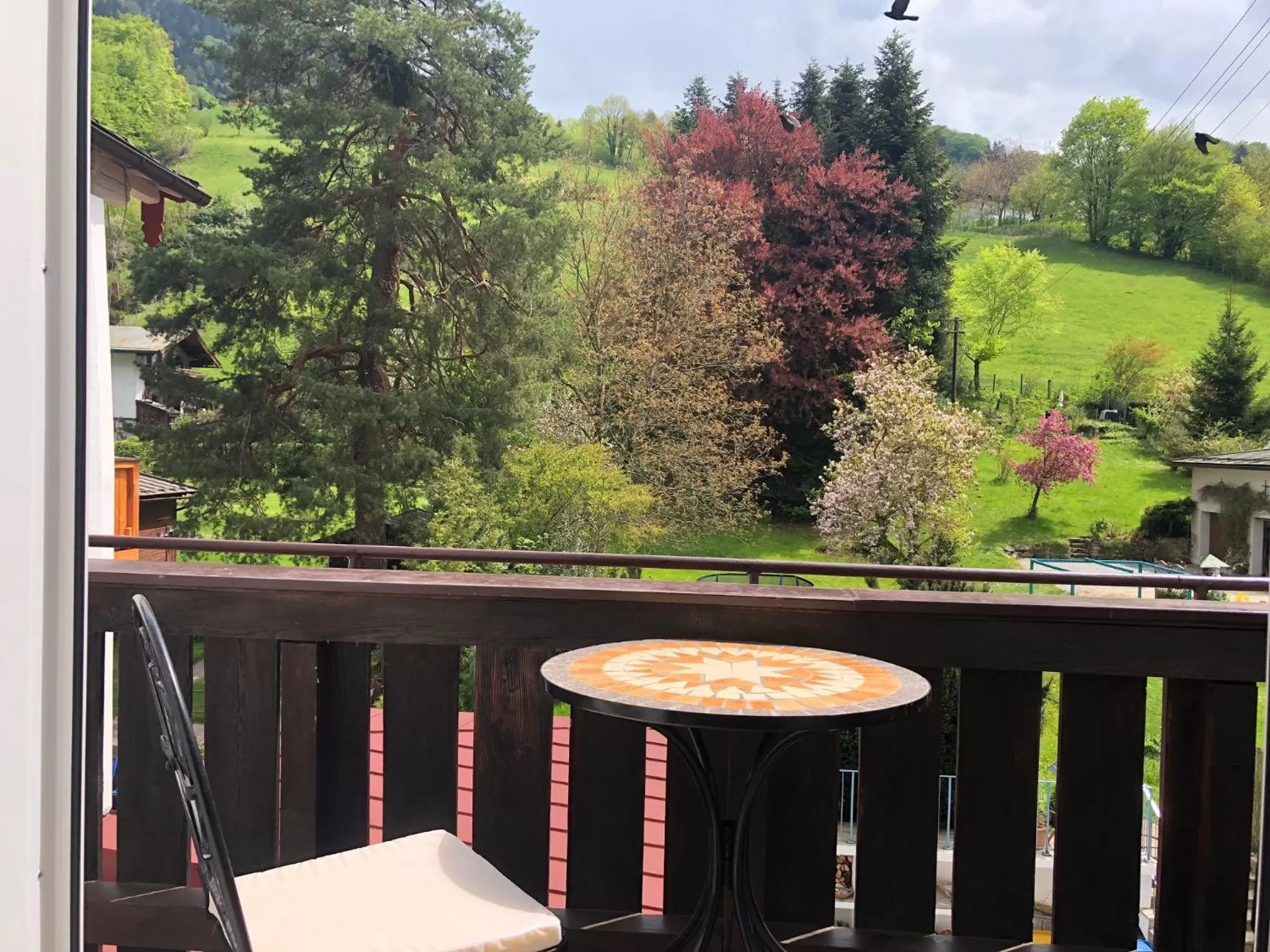 Pension und Ferienwohnung Frech