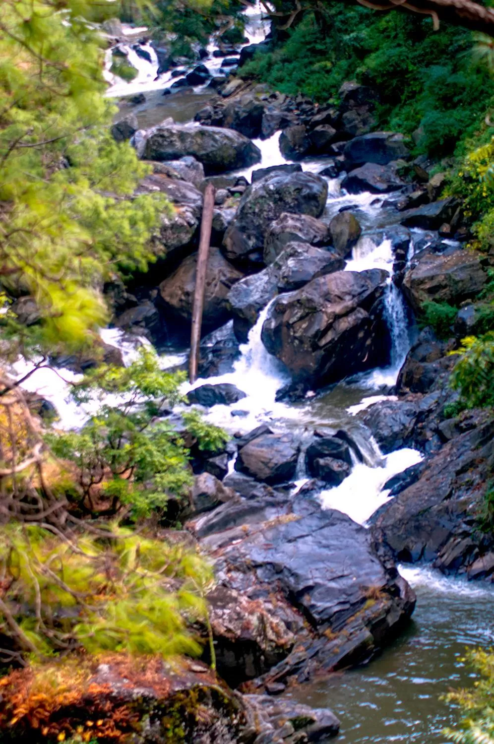 Natural landscape in DreamCatcher By Samyati Hotels and Resorts