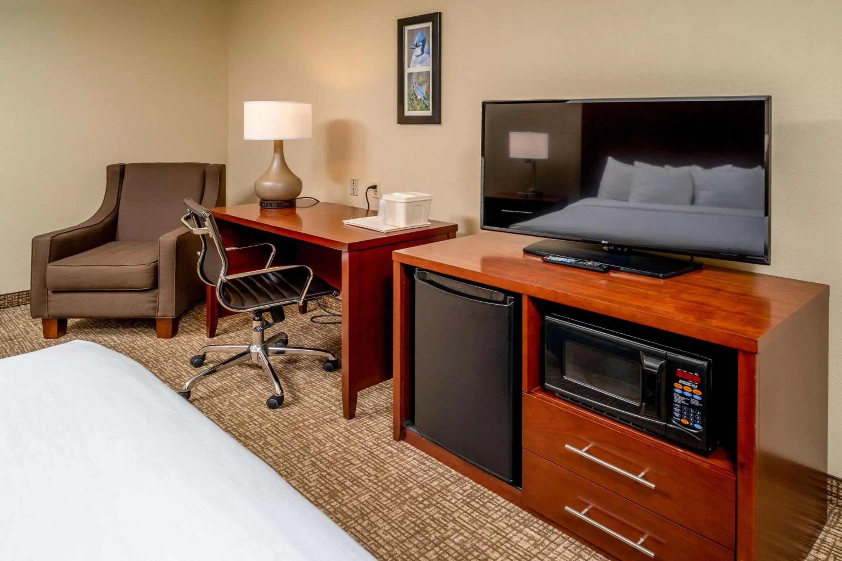 Photo of the whole room, Bed in Comfort Inn & Suites Grundy