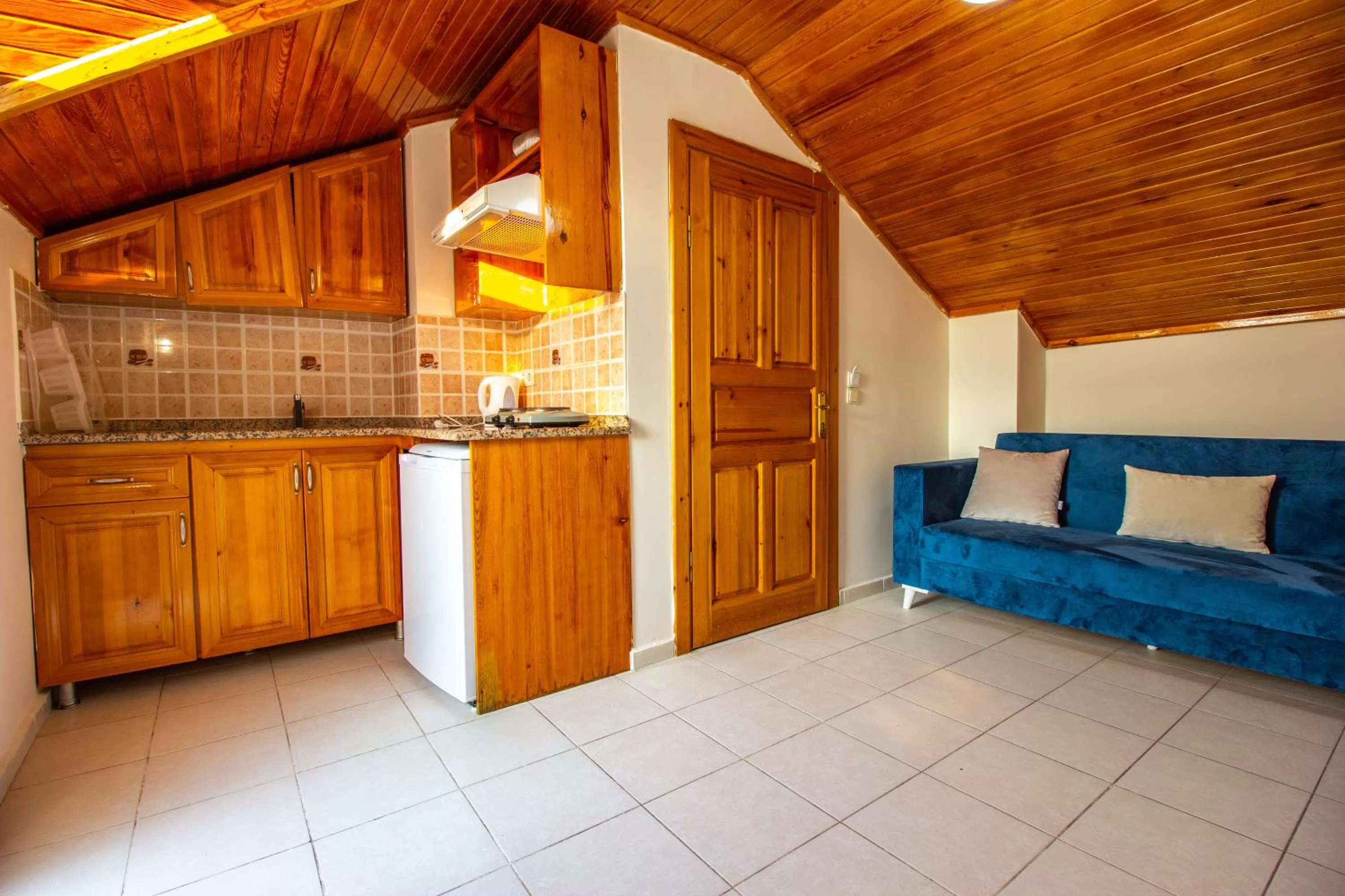 Kitchen or kitchenette in Tayfun Apart Hotel