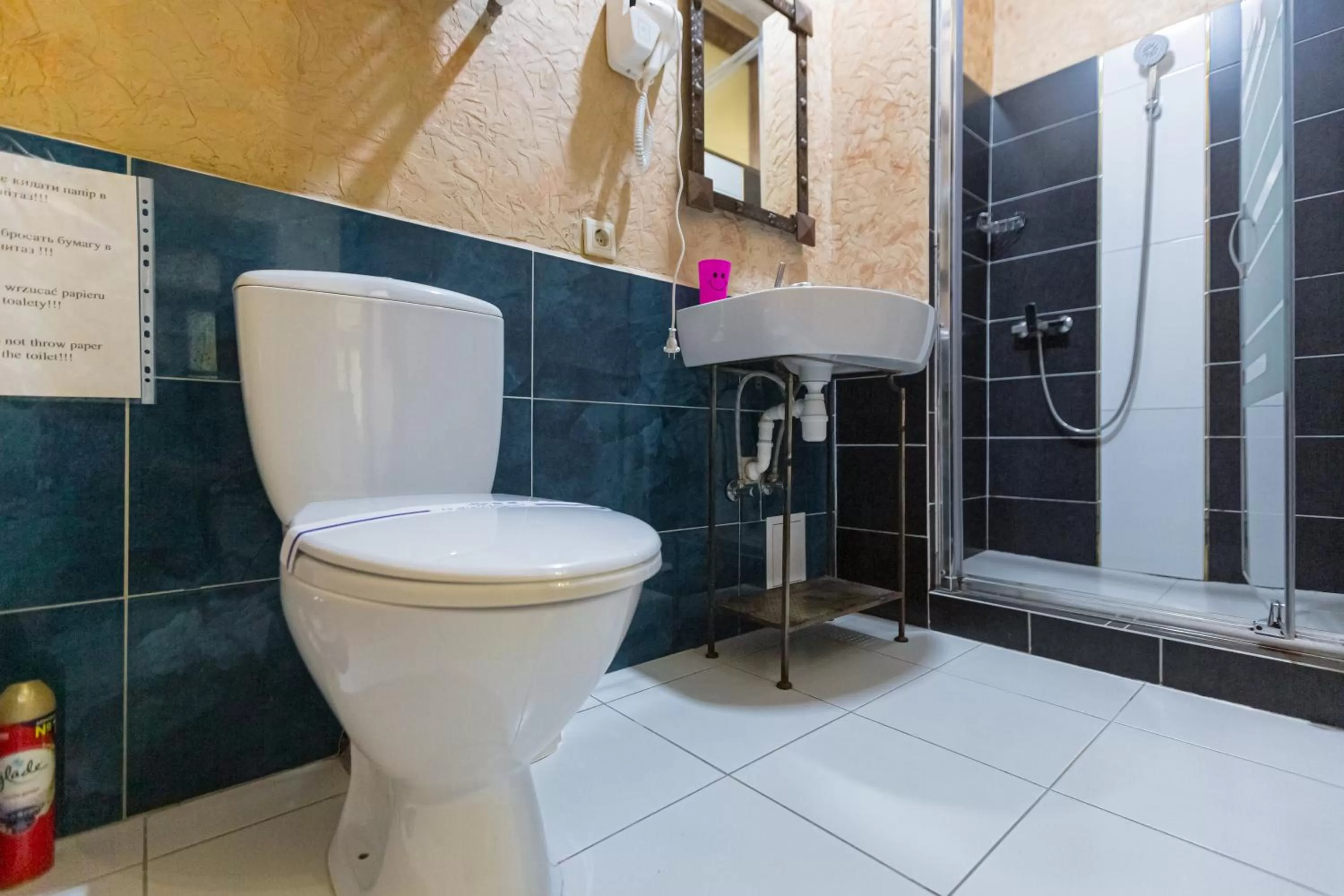 Bathroom in Staryi Krakiv