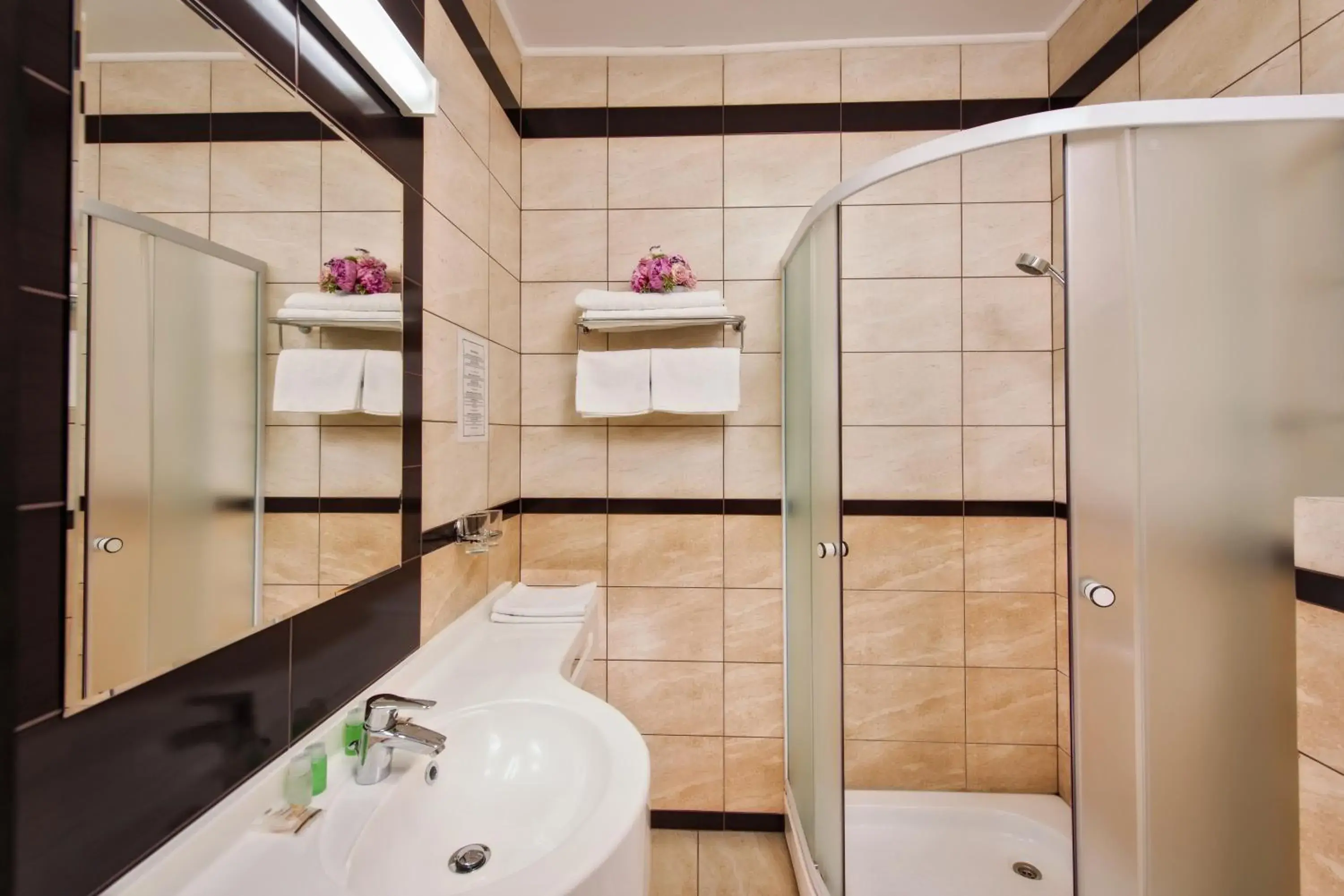 Business Double Room in Hotel Ozana Business Double Room in Hotel Ozana