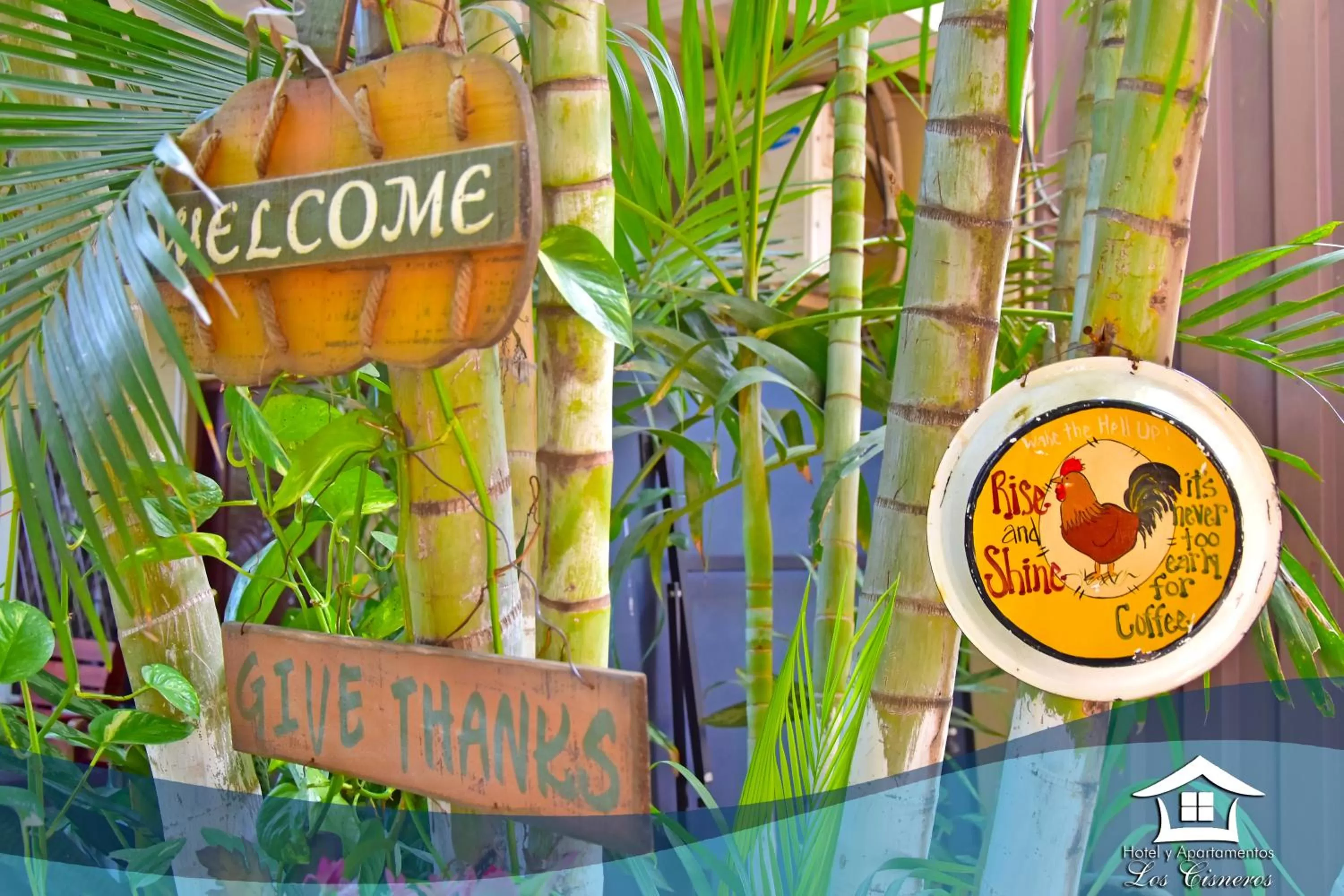 Garden in Hotel y Apartments Los Cisneros