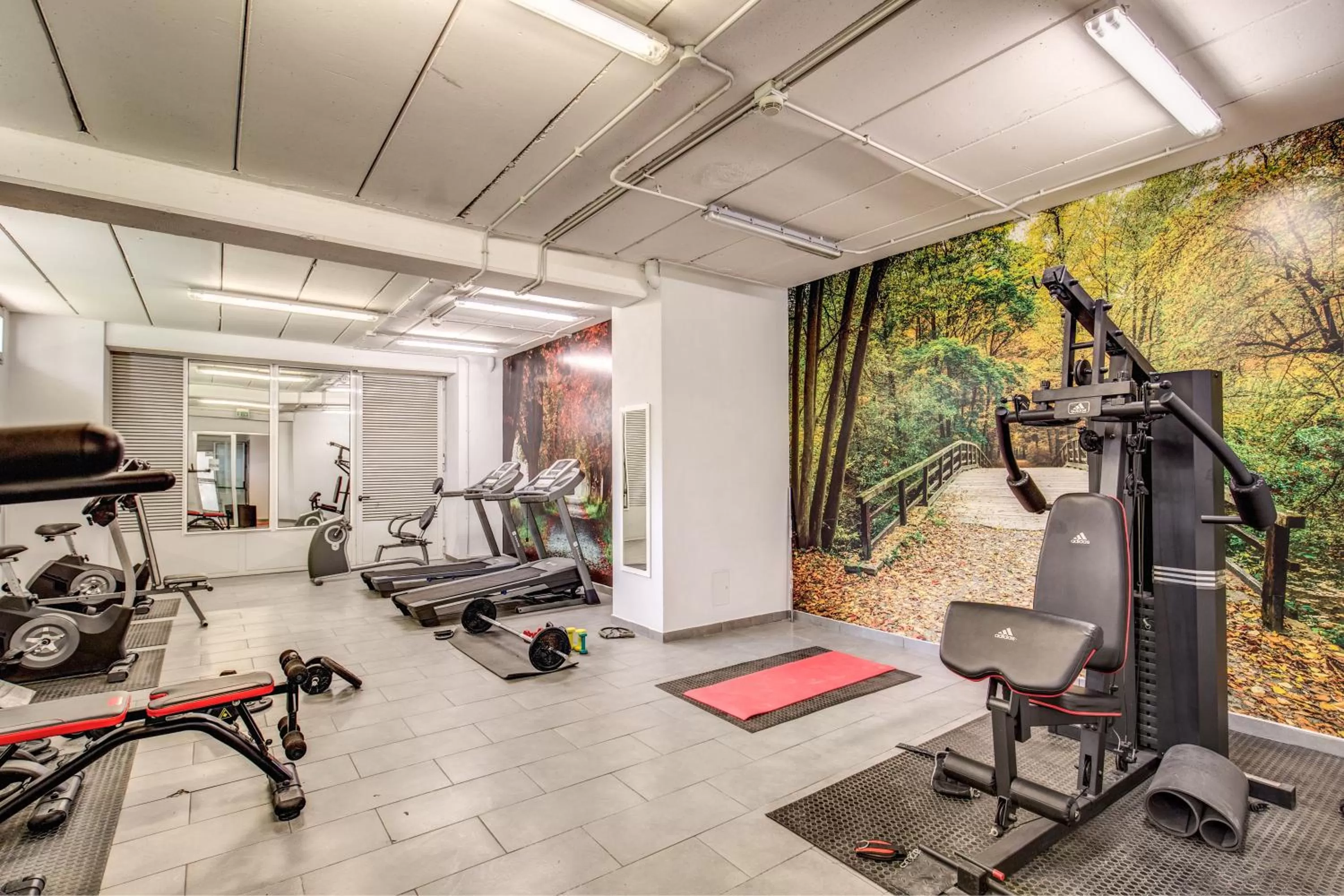 Fitness centre/facilities in Ginevra Palace Hotel