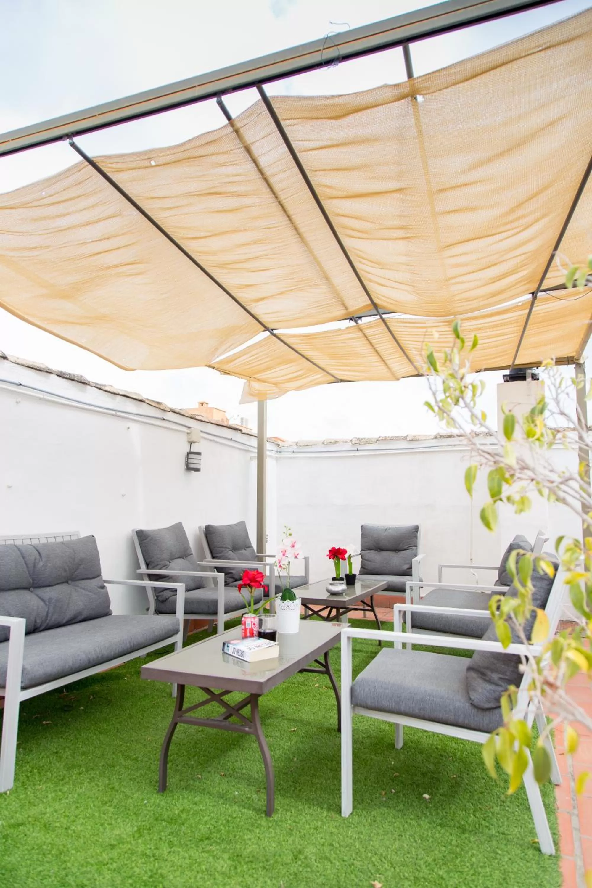 Patio in Hotel Marbella