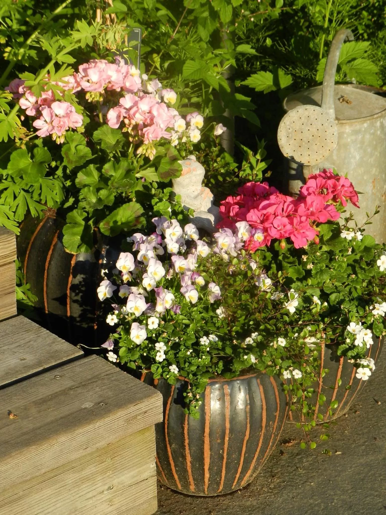 Summer in Sköna Rum Fryksta