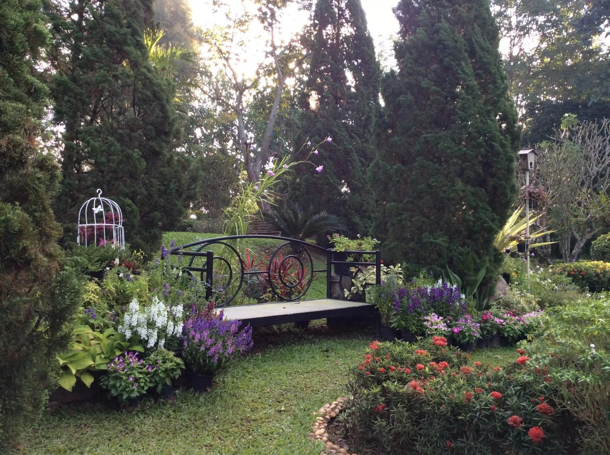 Garden in Baan JaoKorKluay บ้านเจ้ากอกล้วย