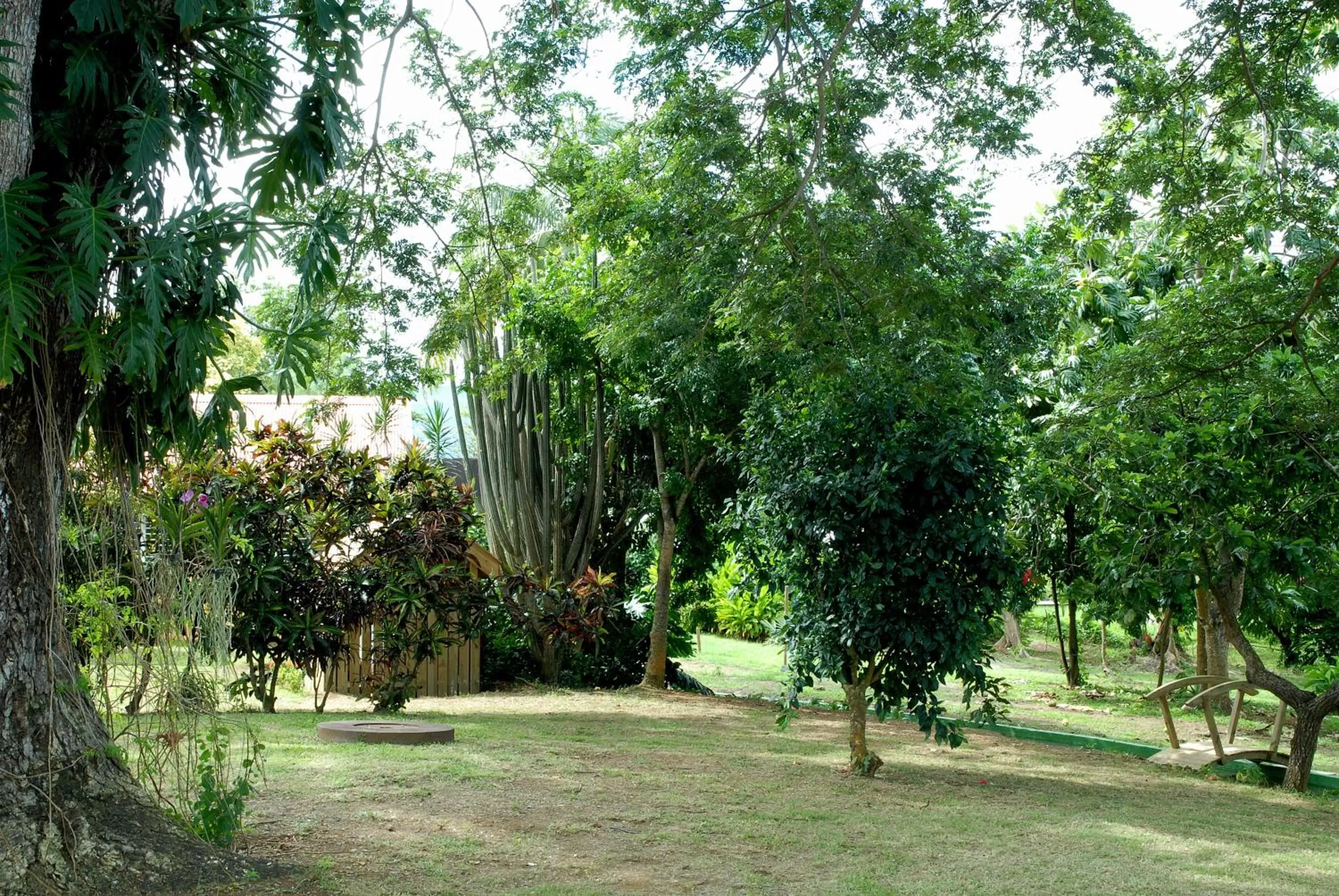 Day in Habitation du Comté