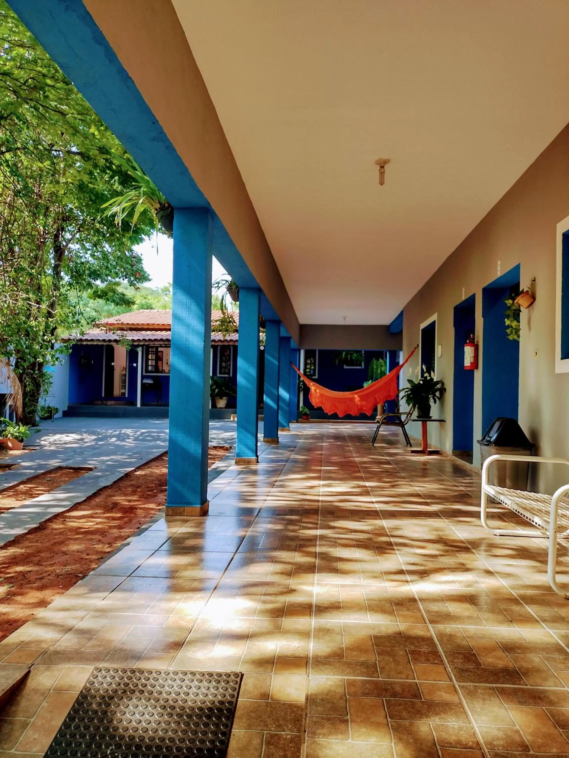 Suits - Canto do sabia