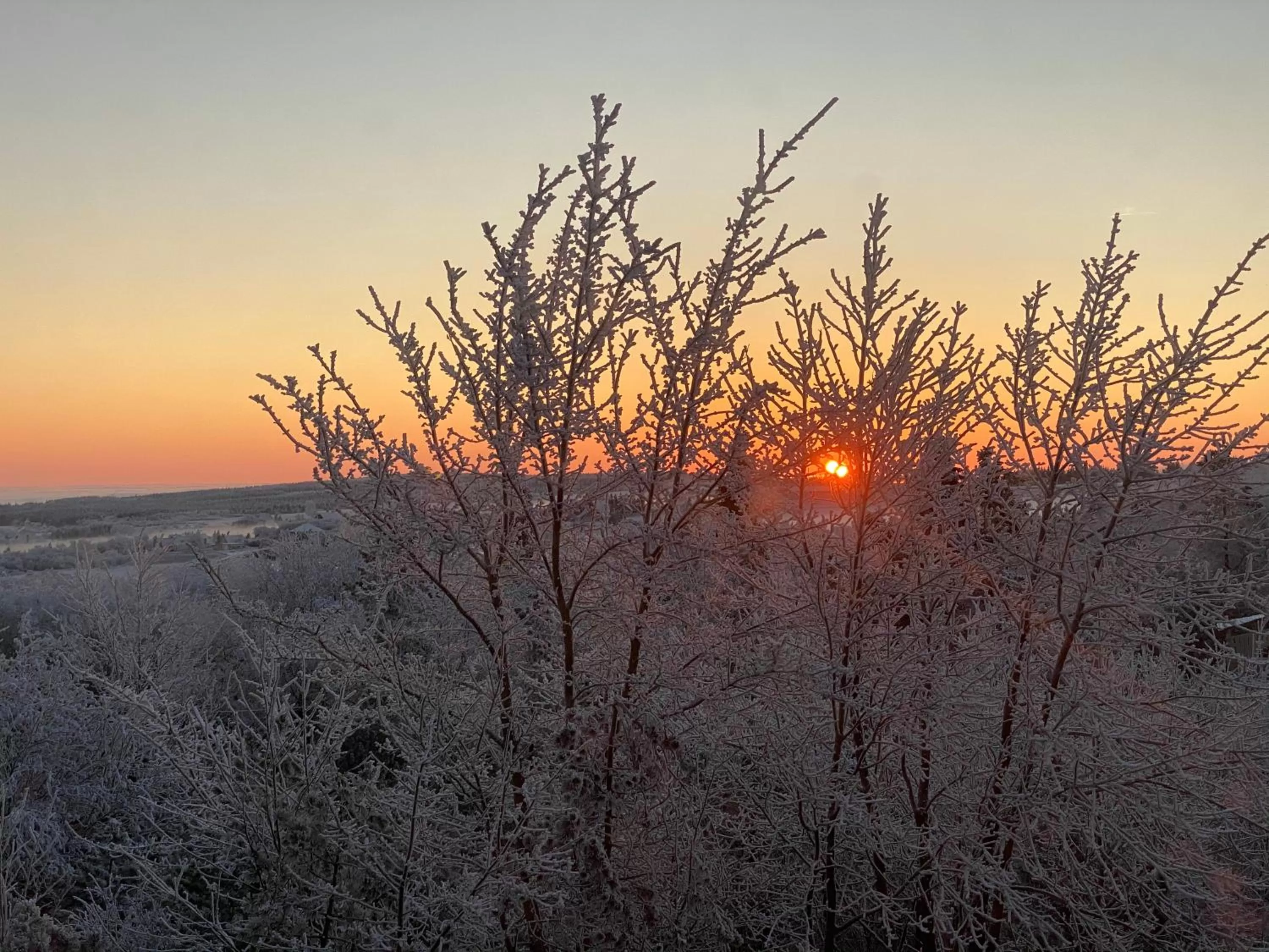 Property building in Hotel Lugsteinhof