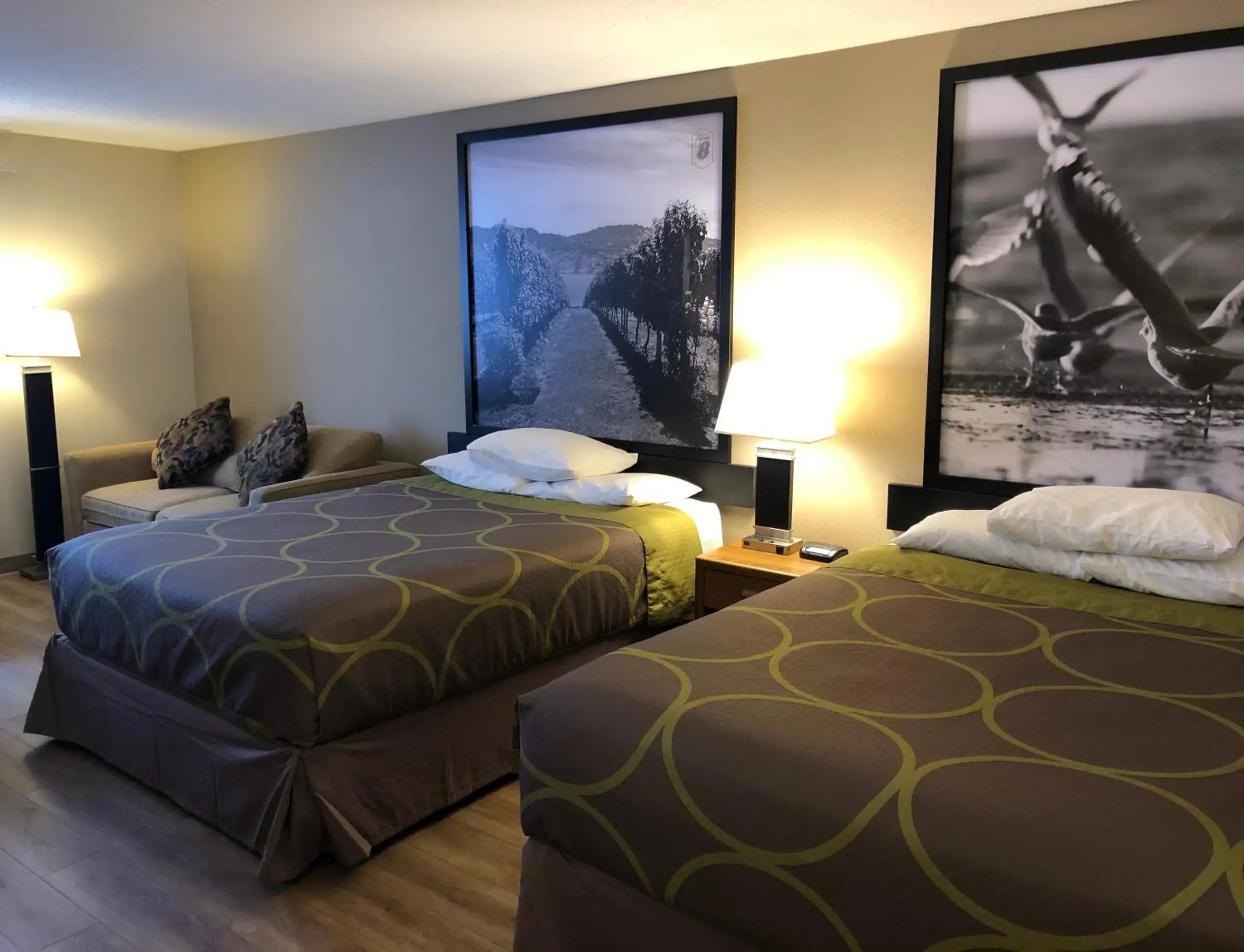 Queen Studio Suite - Non-Smoking in Super 8 by Wyndham Salmon Arm Queen Studio Suite - Non-Smoking in Super 8 by Wyndham Salmon Arm