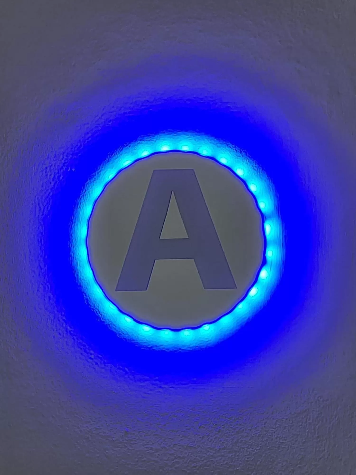 Logo/Certificate/Sign in D ANNUNZIO house