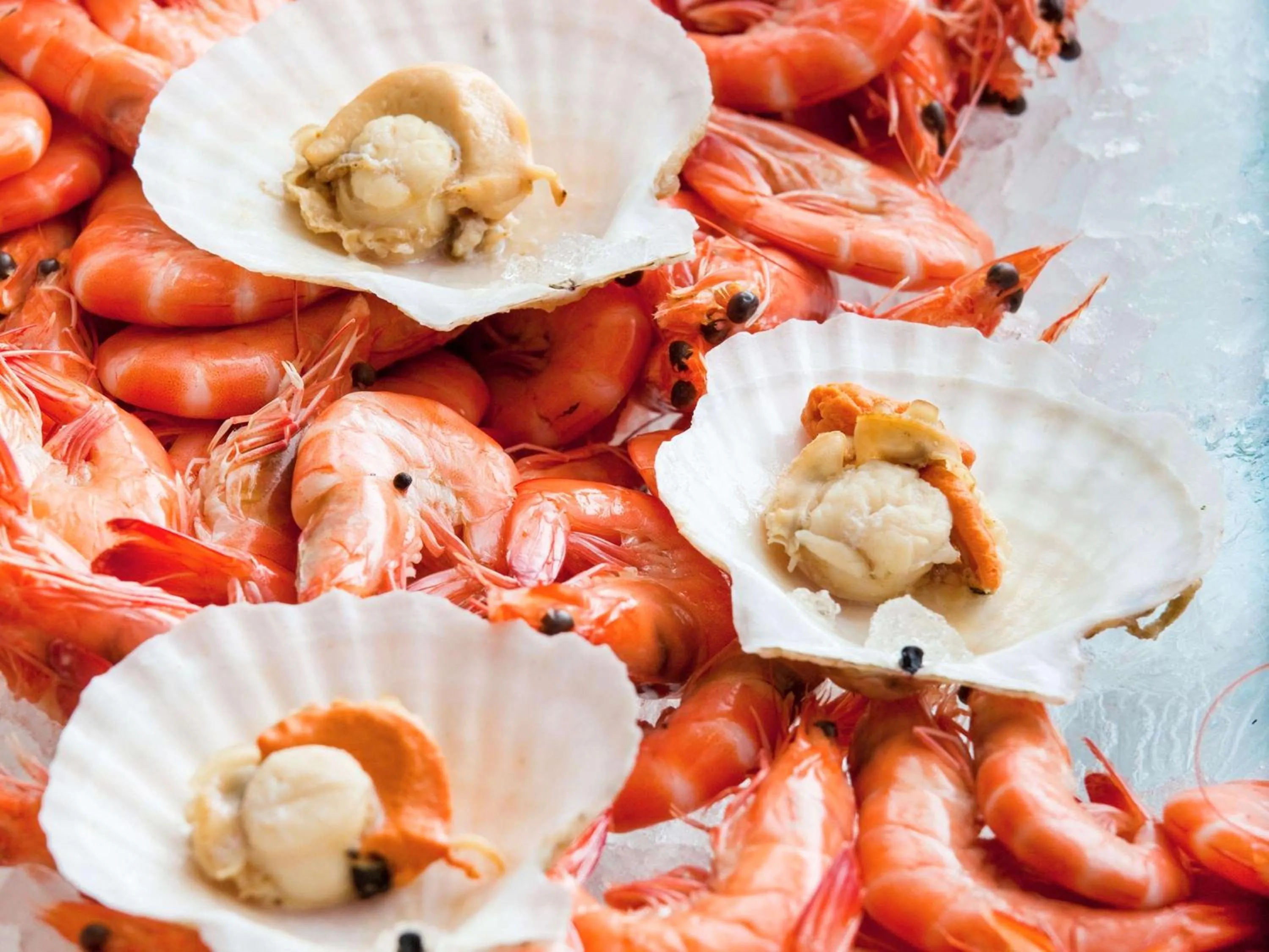 Restaurant/places to eat in Fairmont Yangcheng Lake