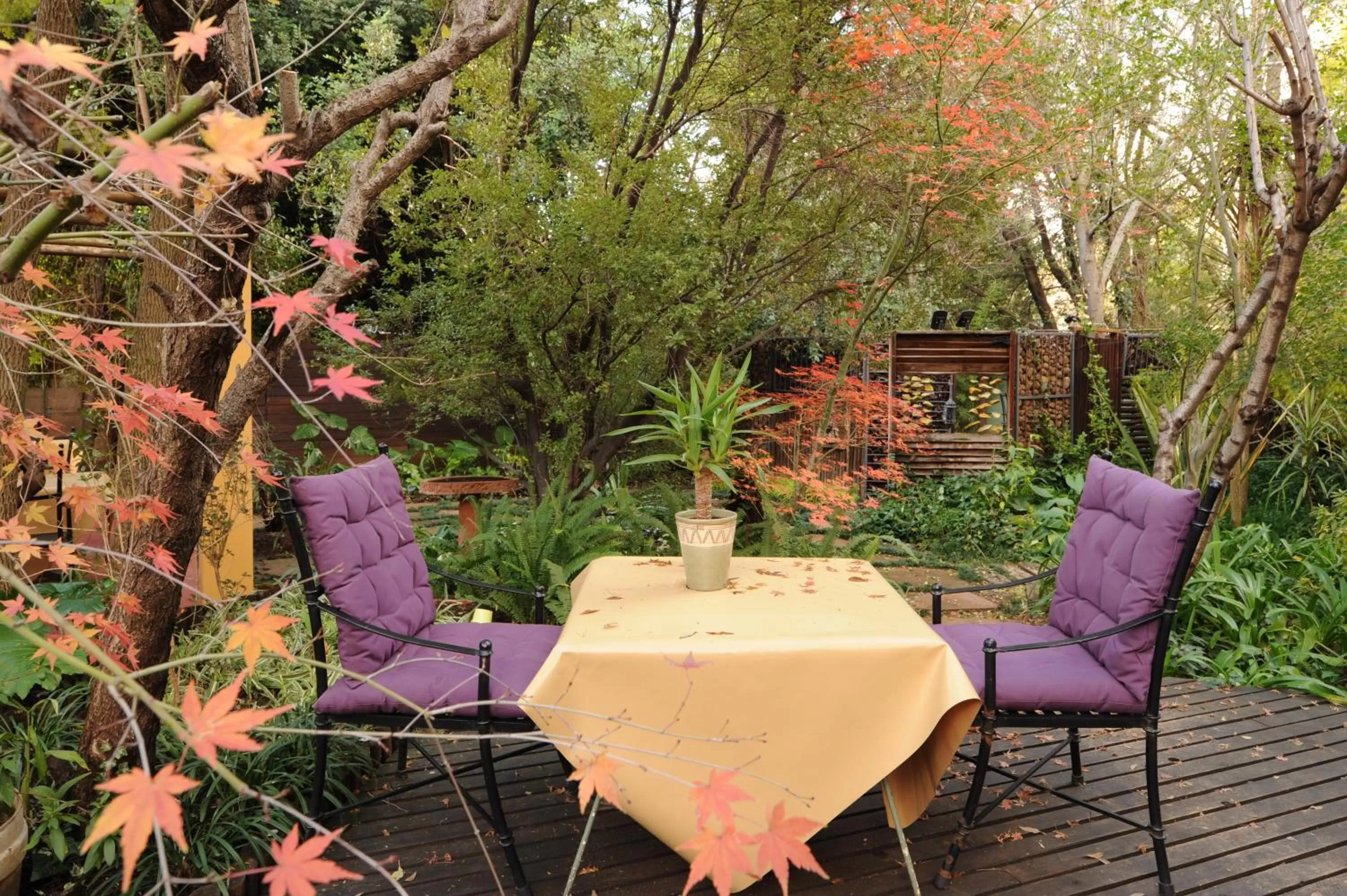 Garden, Restaurant/Places to Eat in Jedidja Bed and Breakfast