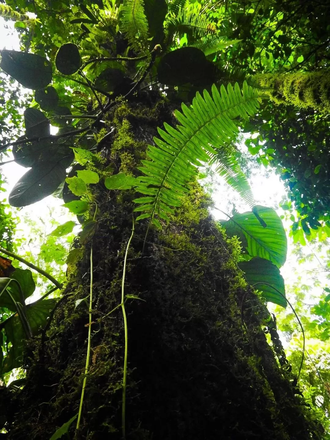 Property building in Sangregado Lodge
