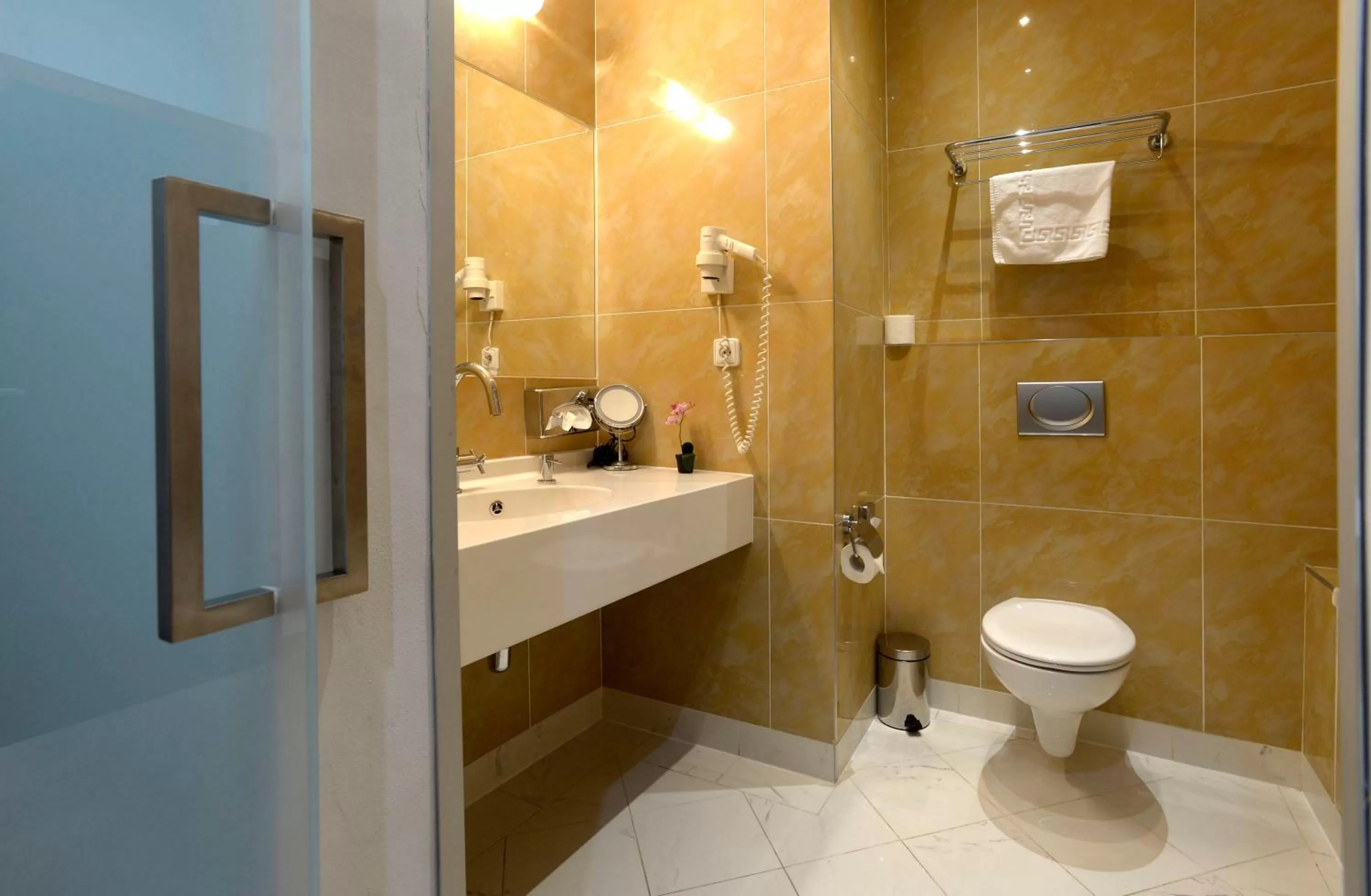 Toilet in Hotel Grand