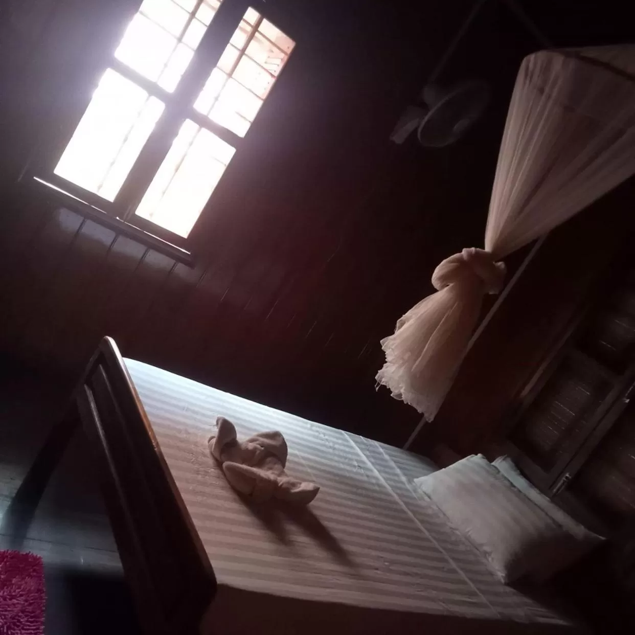 Single Room with Shared Bathroom - single occupancy in Nomad Guesthouse