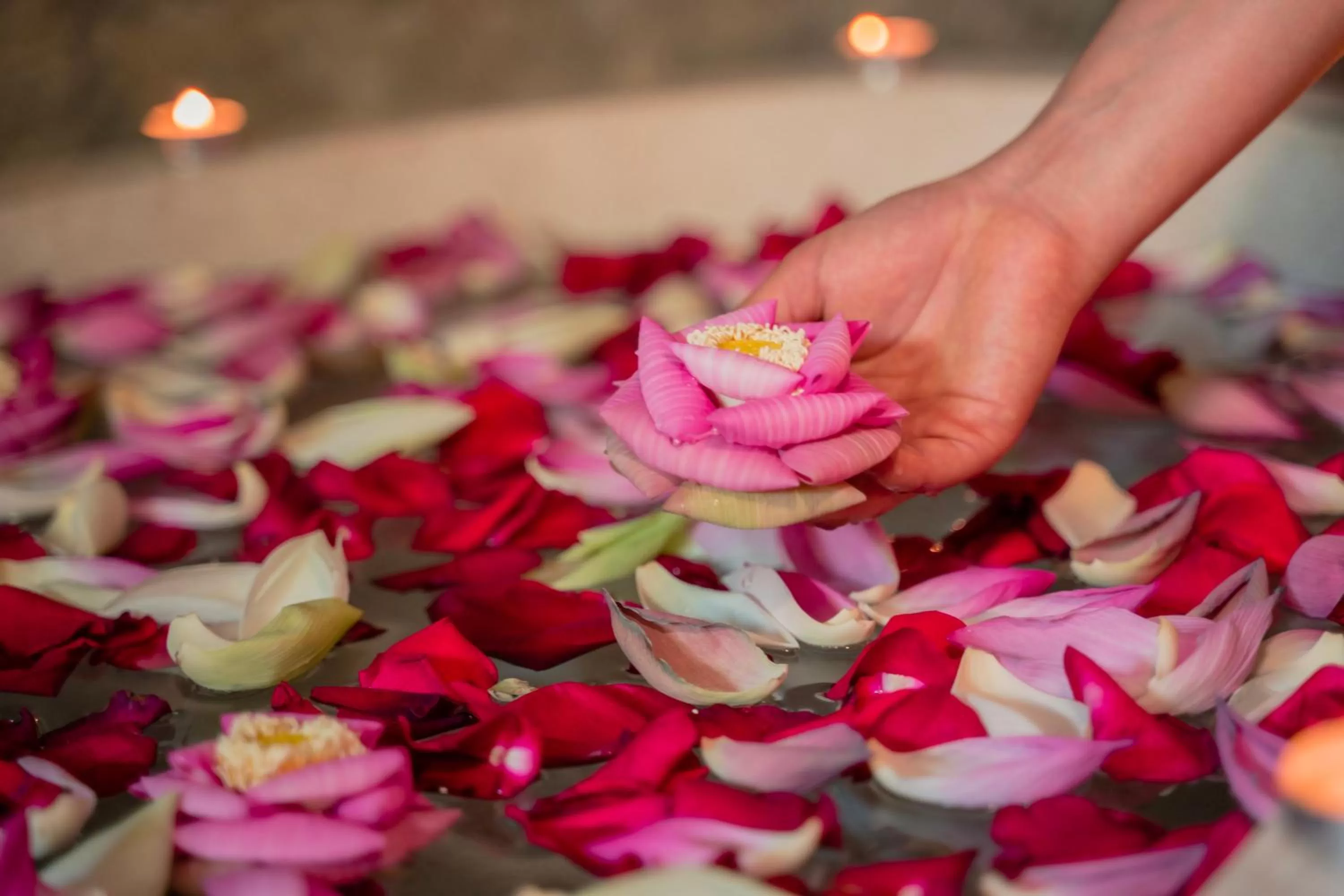 Hot Tub in The Villa by Metta