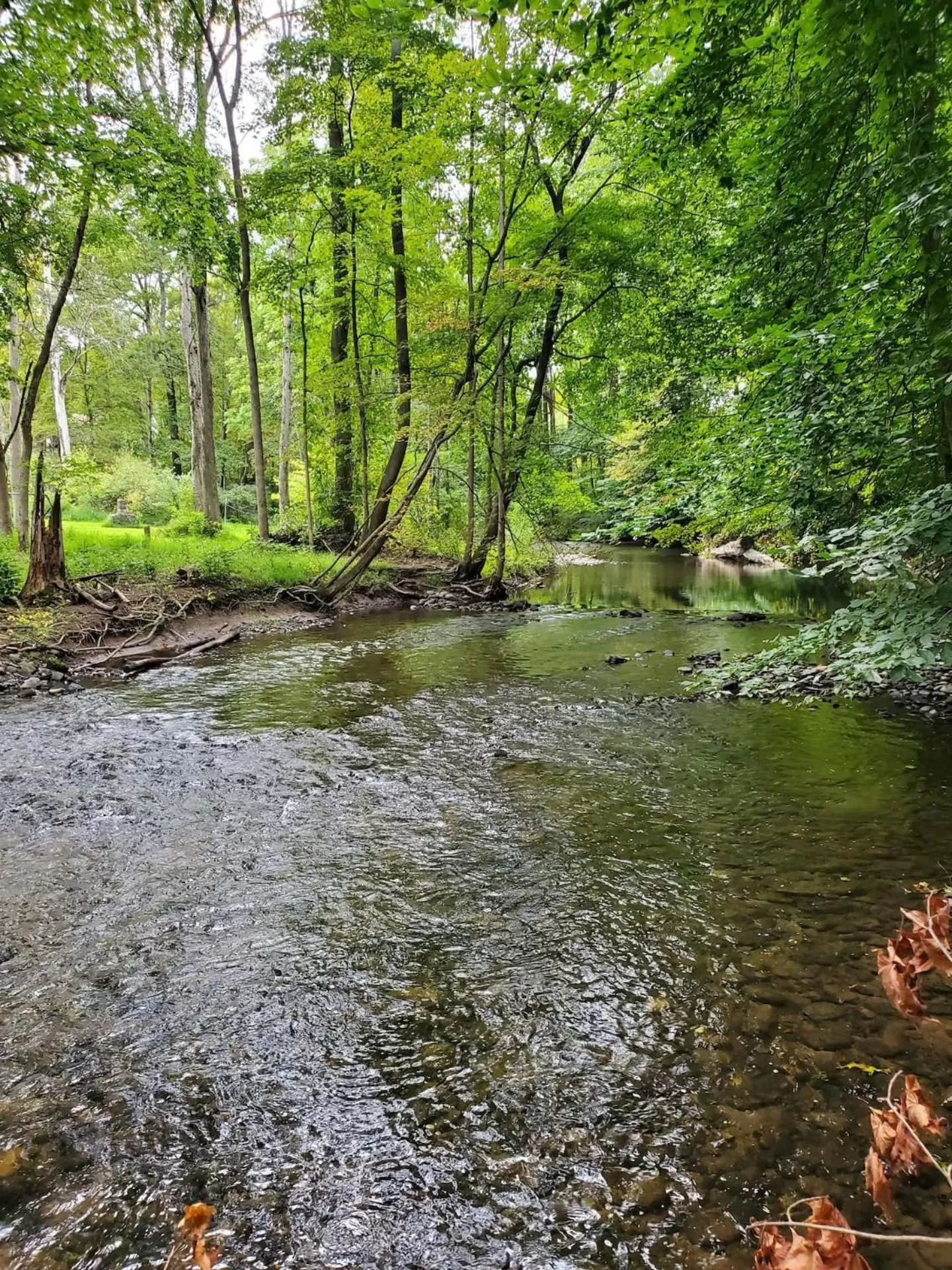Natural landscape in Glenwood Inn - Stroudsburg