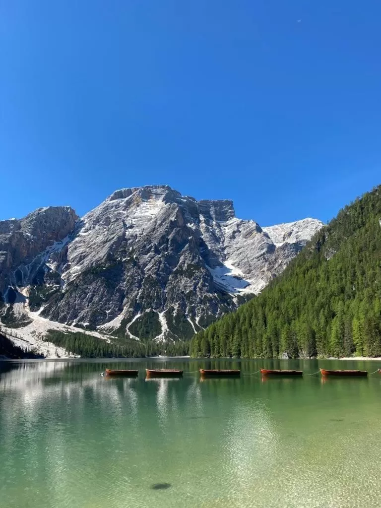 Ameiserhof Guesthouse