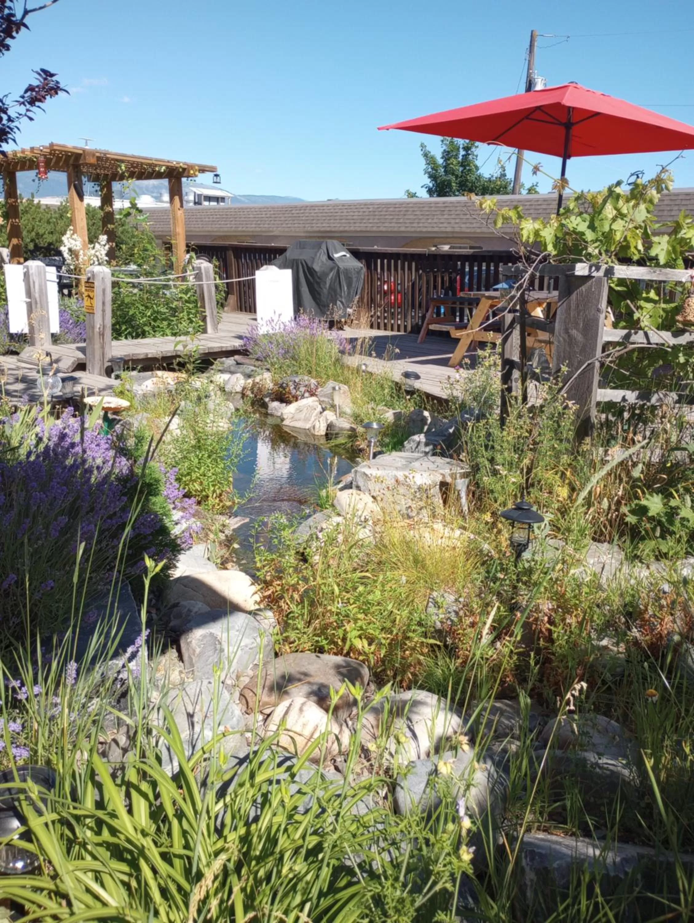 Balcony/Terrace in Magnuson Hotel Creston