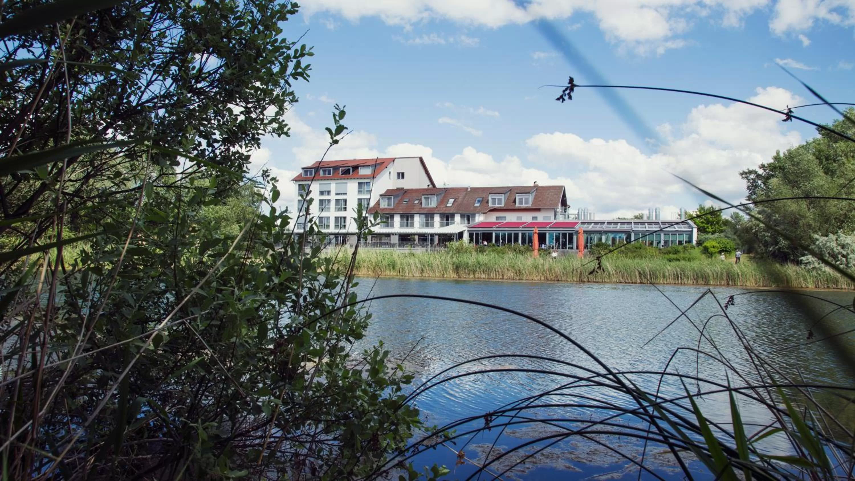 Area and facilities in Hotel Darstein