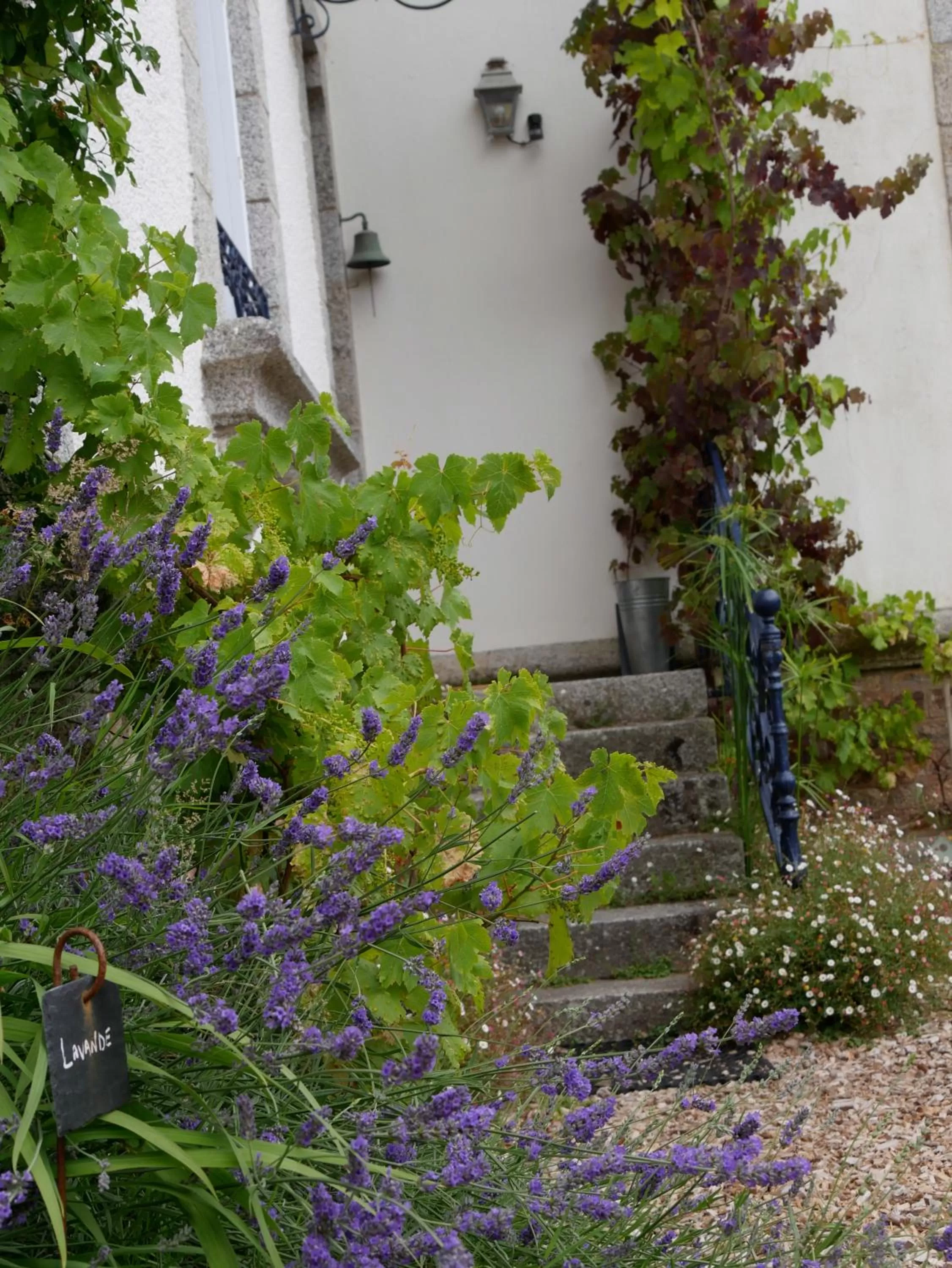 Patio in Maison Castel Braz